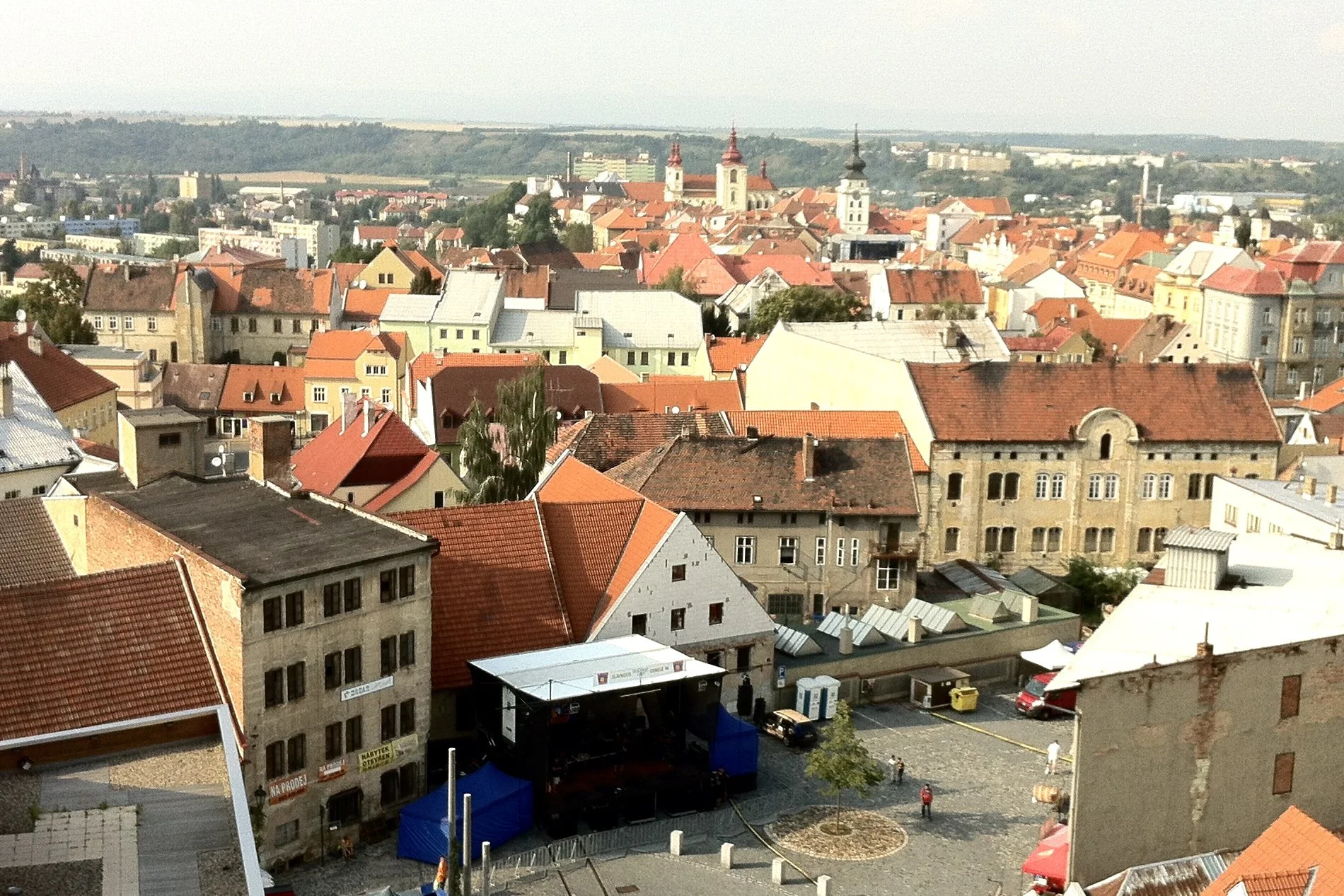 Study: European Hops Are in Big Trouble