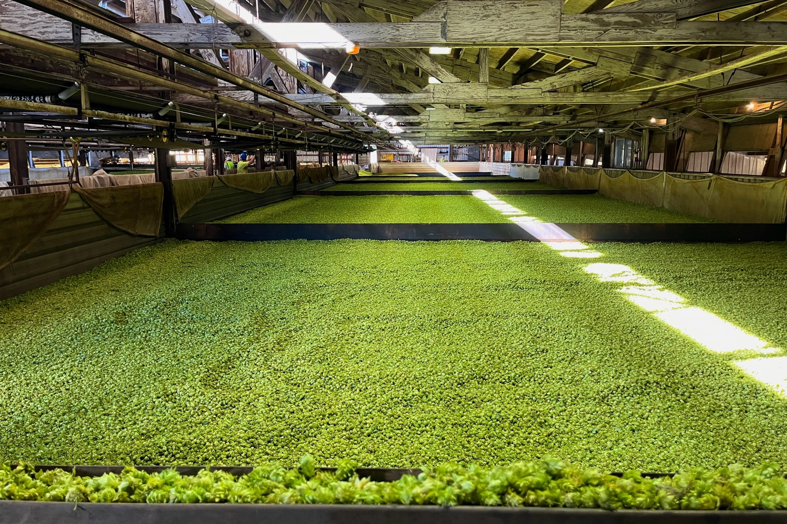 The Year in Pictures 