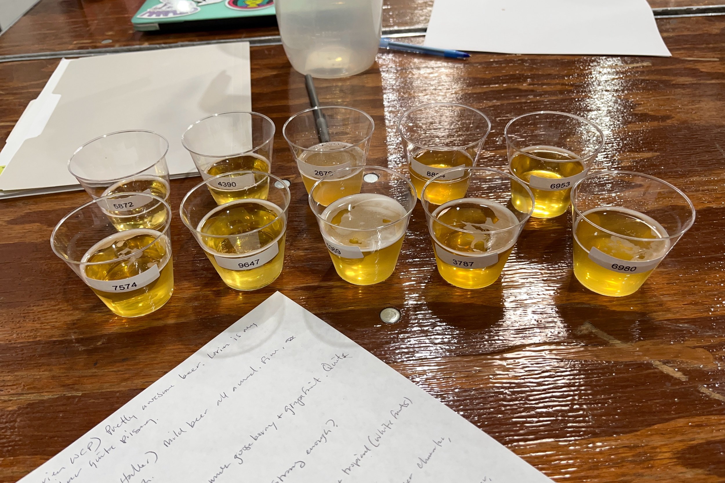 Oregon Beer Award Fresh Hop Winners and the Lessons of the Season