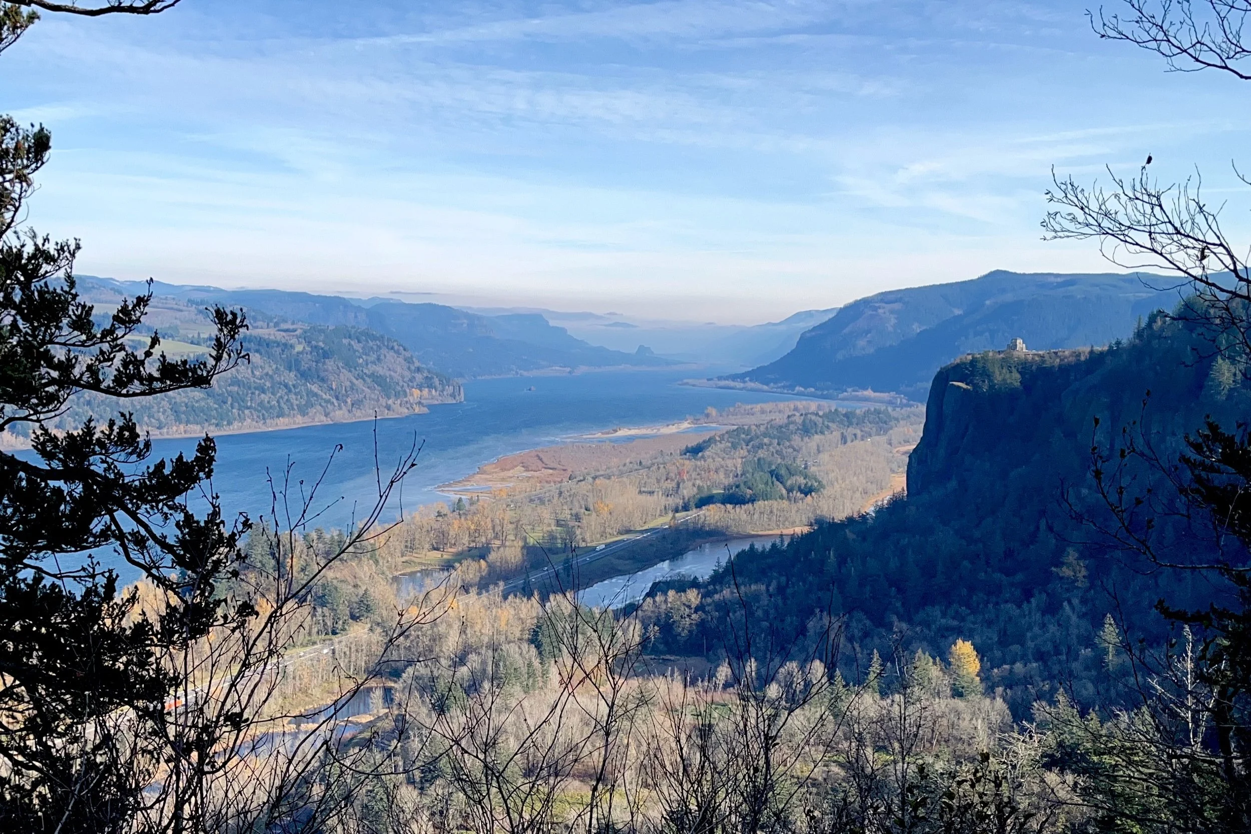 Looking Back and Looking Forward (Plus Dubious Predictions)