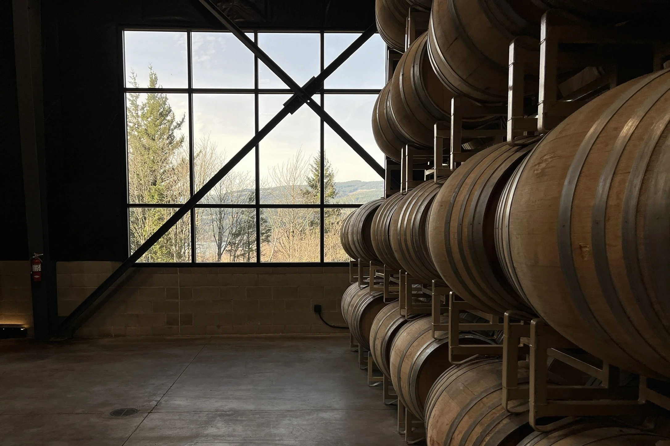 Happy Independents Day!