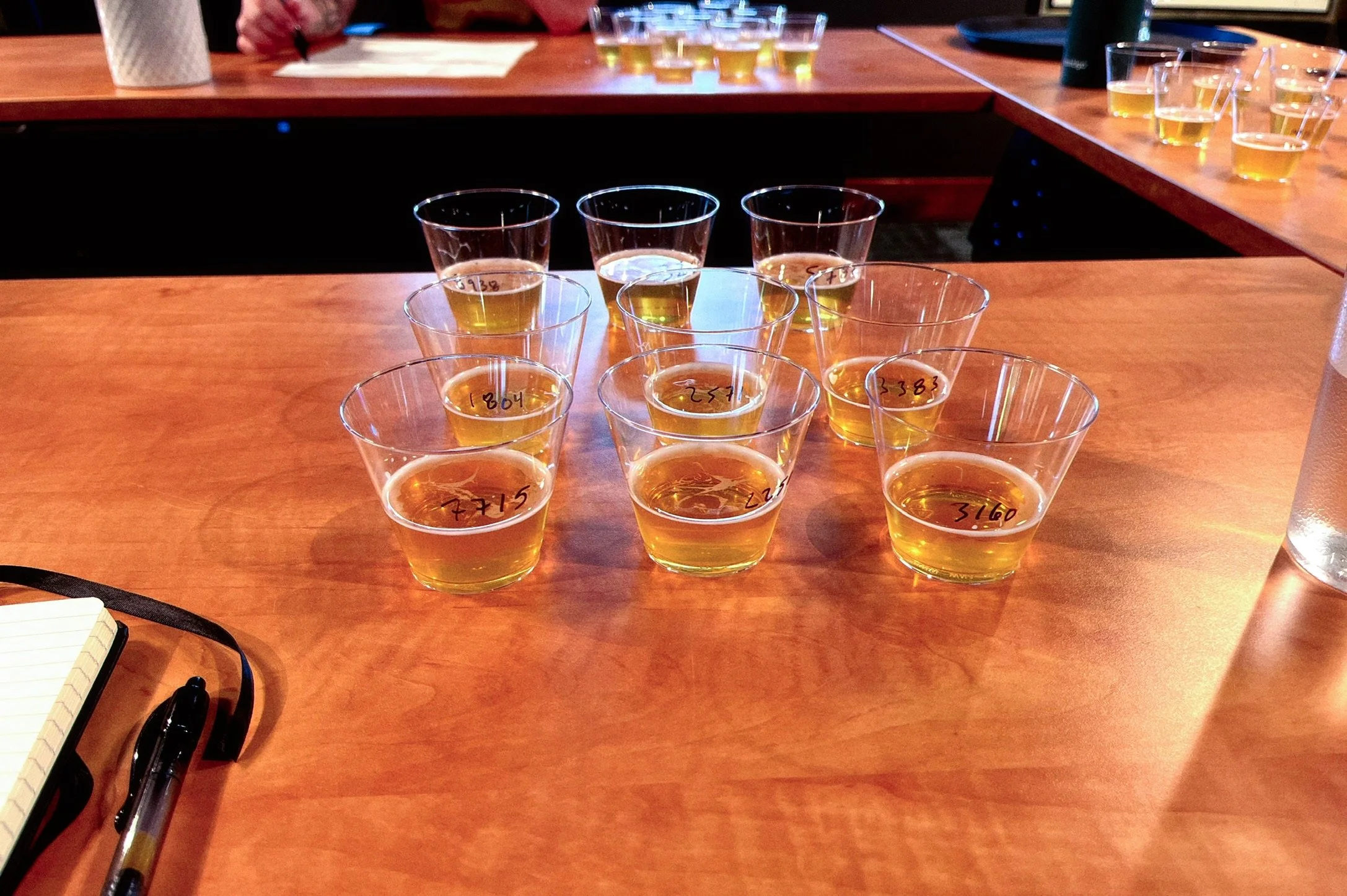 Follow-up: Taste-testing Short- and Full-Lagered Pilsner