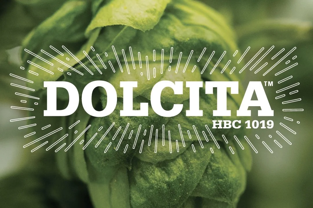 The Hop That Earned Its Name: Dolcita!