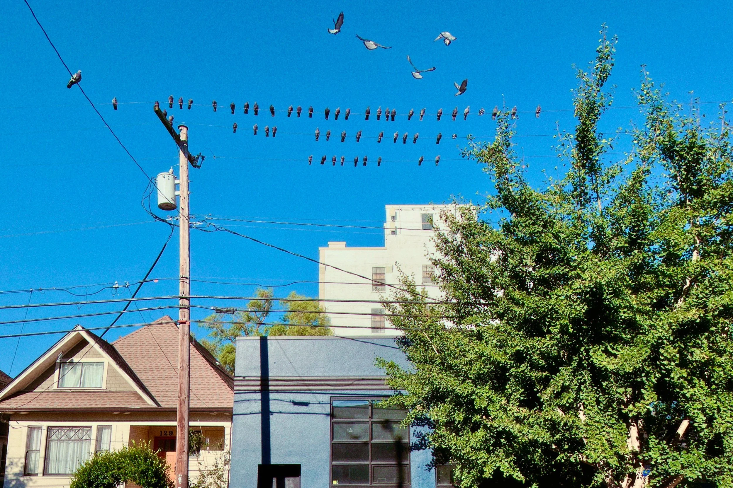 Personal/Programming Notes