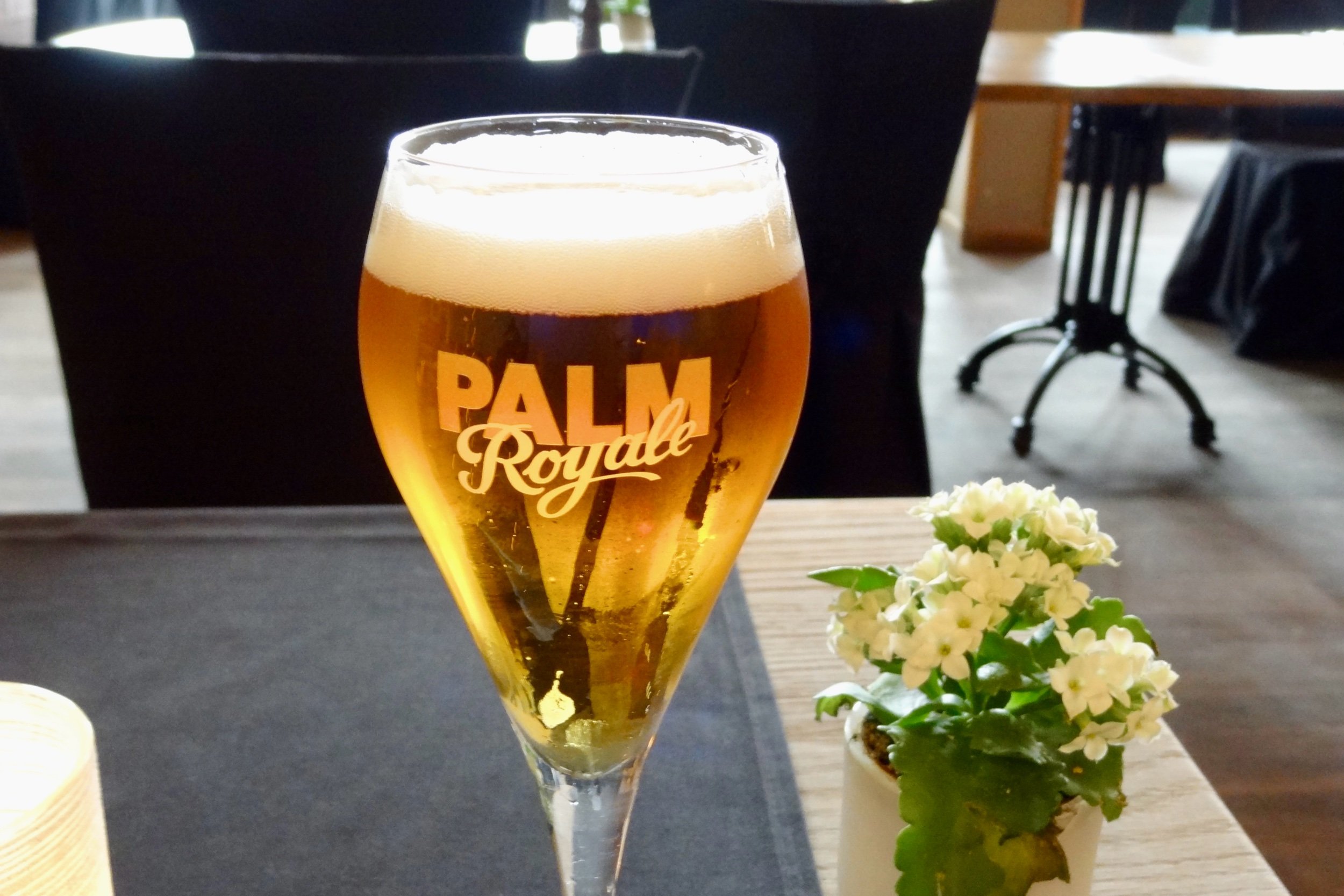 A Blogging Tale (Mostly True)