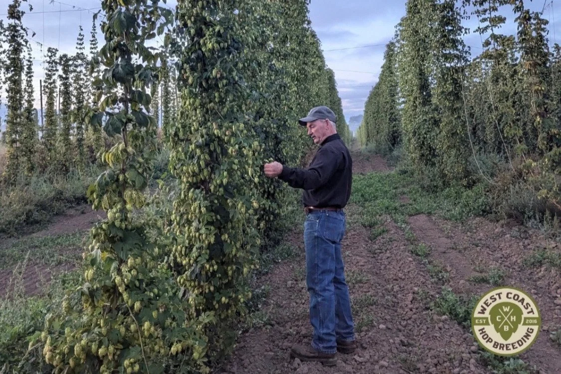 Celeste and All the New Hops