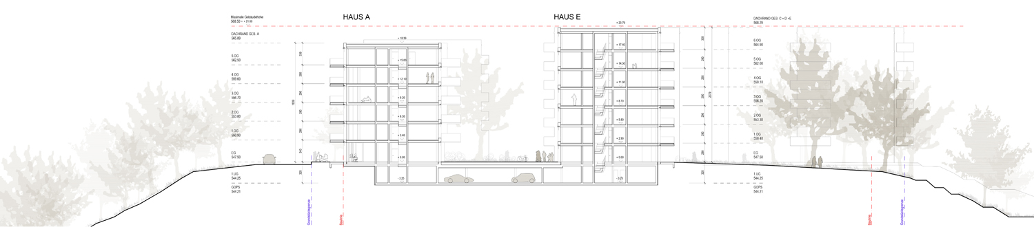 Offizin für Architektur_offizin-a_offizina_Projekte_Wohnen_Reichenbachstrasse_Schnitt 1.jpg