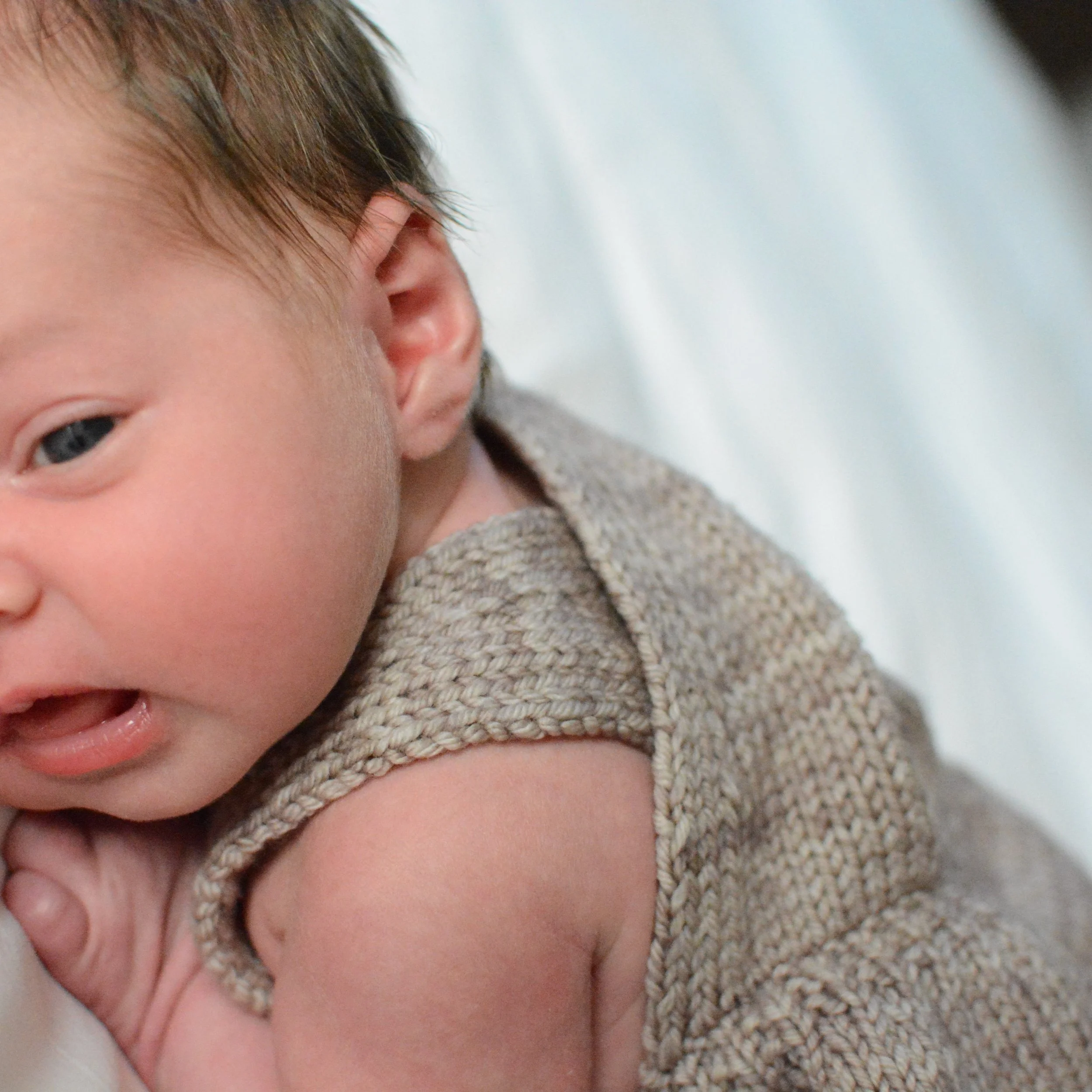 Moema 9.JPG