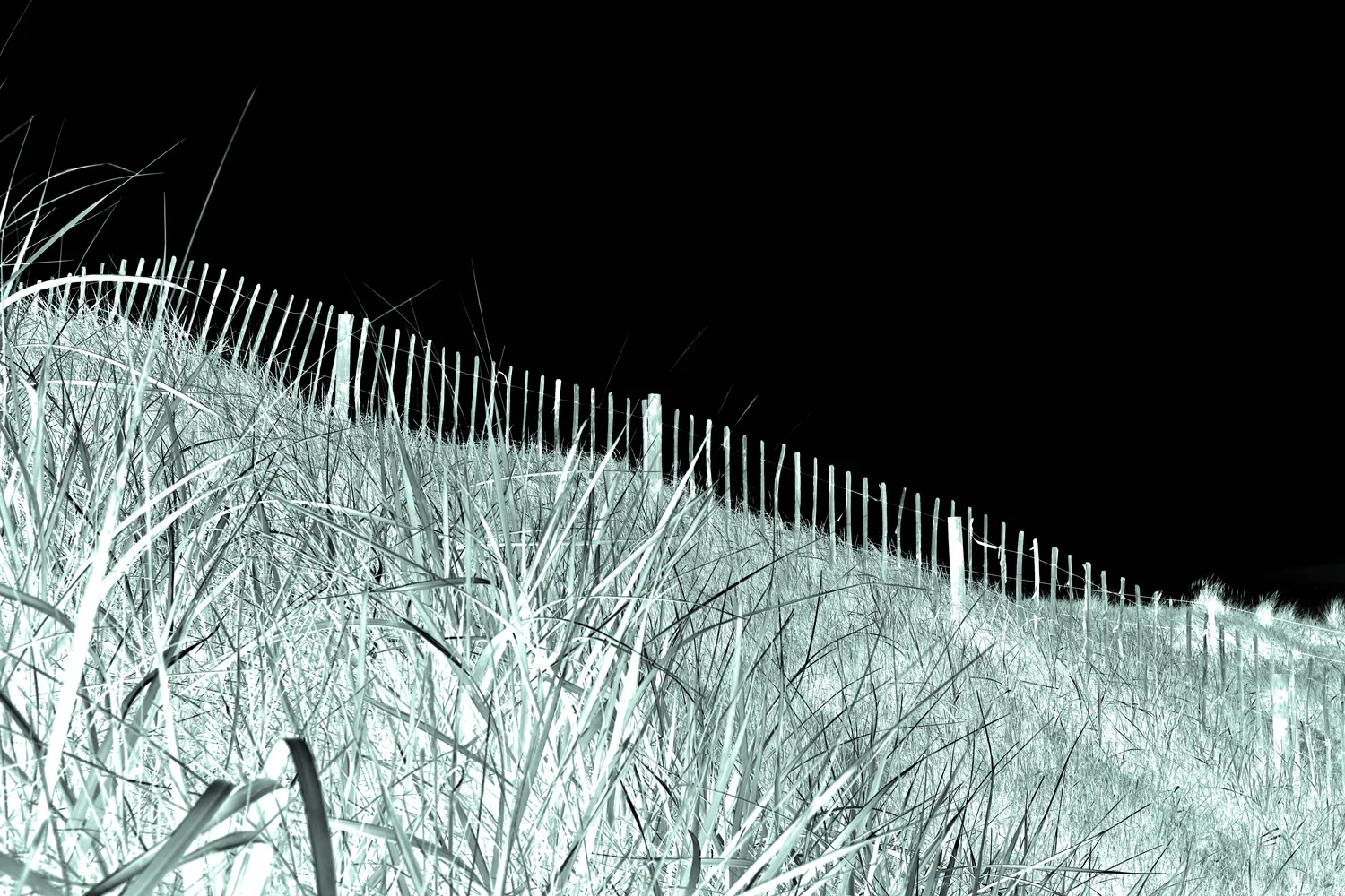 UG130926_083.JPG