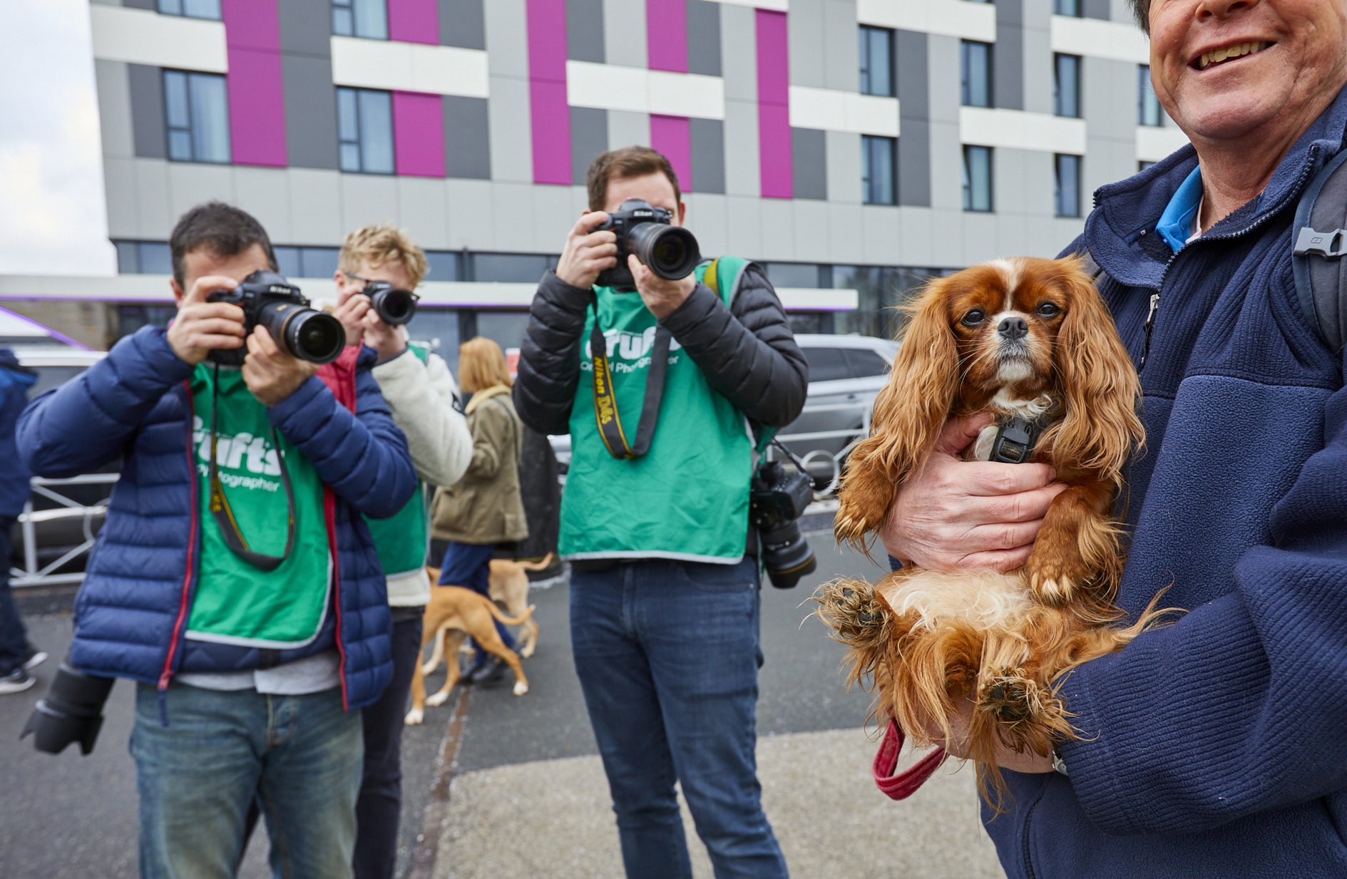  {dats} Copyright: Flick.digitalFree for editorial use image, please credit: Dave Phillips/ Flick.digitalKings Charles Spaniel arriving at Crufts 2022 at the NEC in Birmingham today.The world’s greatest dog show, Crufts, is taking place from 10th – 1