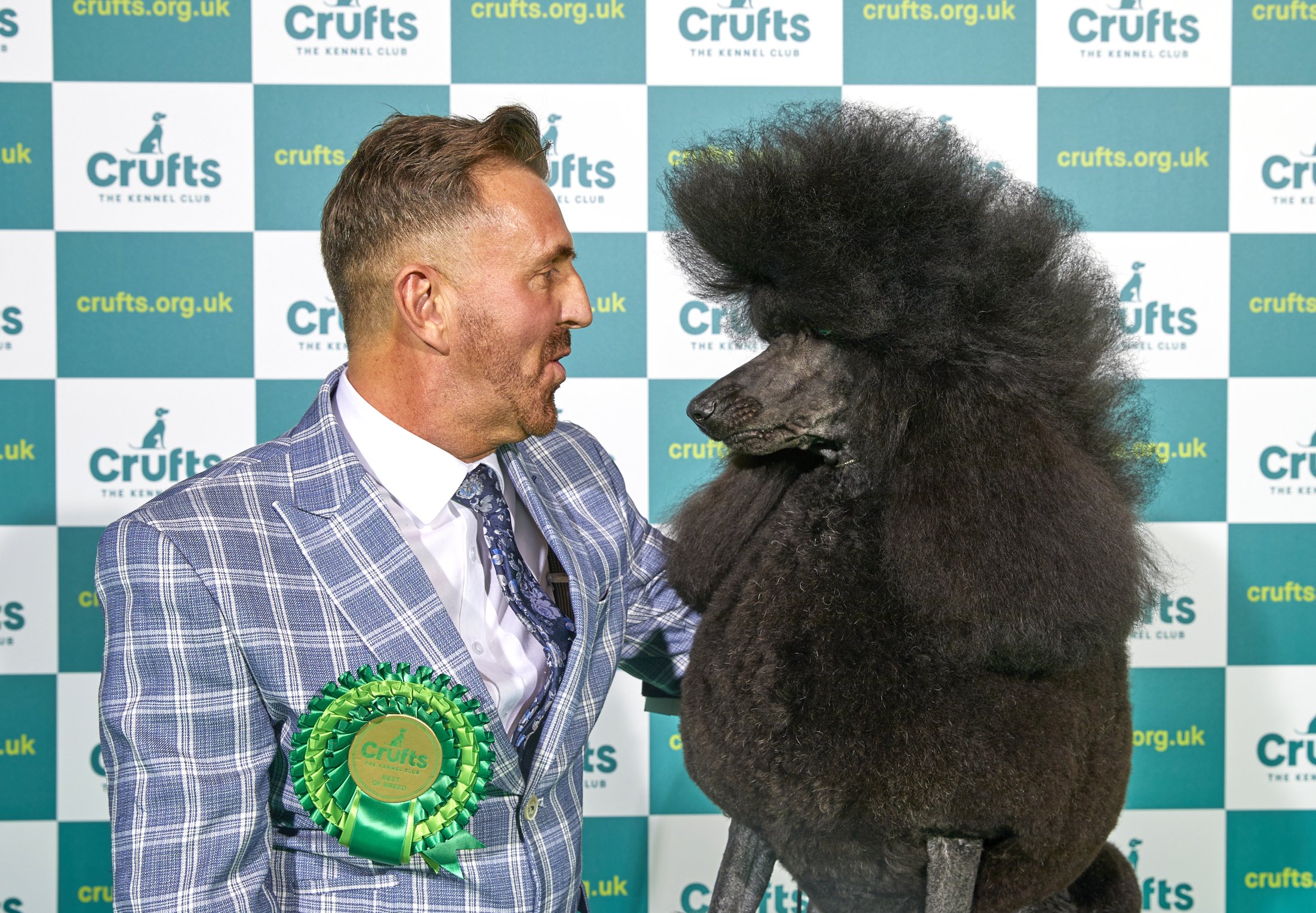  {dats} Copyright: Flick.digitalFree for editorial use image, please credit: Dave Phillips/ Flick.digitalPhilip Langdon with Jake, a Poodle (Standard), winner of Best of Breed at Crufts 2022 at the NEC in Birmingham today.The world’s greatest dog sho