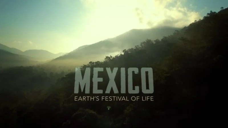 Mexico.Earths.Festival.of_.Life_.00.jpg