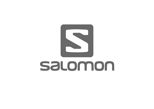 logo de la marque d'equipement montagne salomon