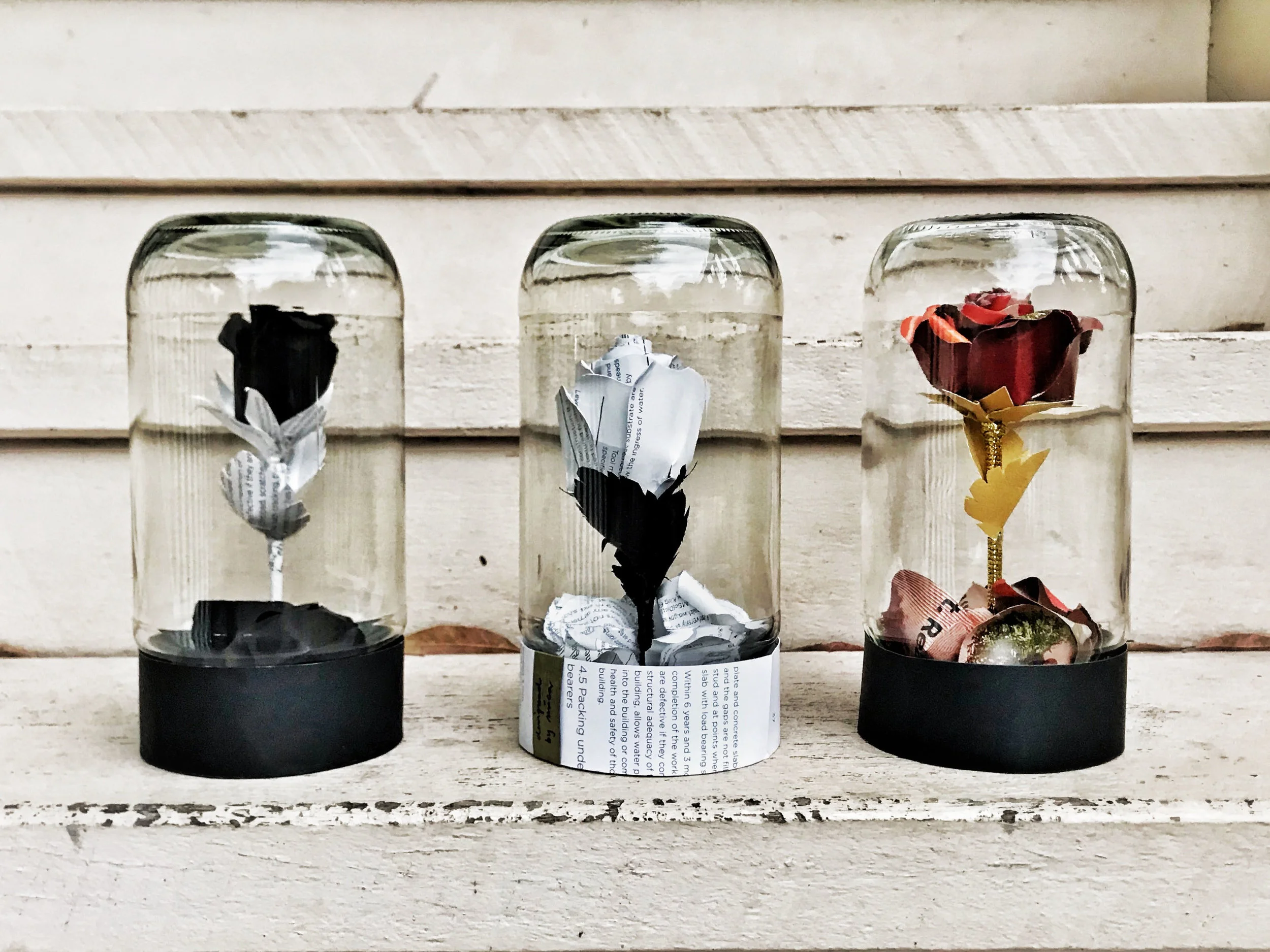 Enchanted Rose