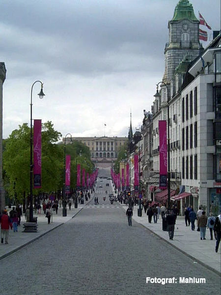 Oslo-slottet-Karl_Johans_gate.jpg