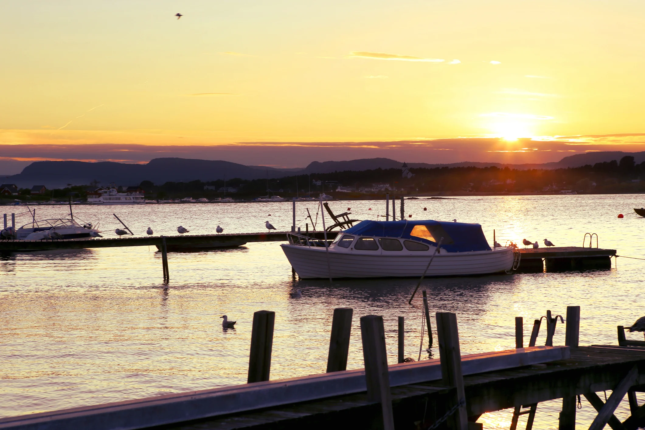  Lindoya island with summer cottages and marina in Oslo Fjord, Norway. 