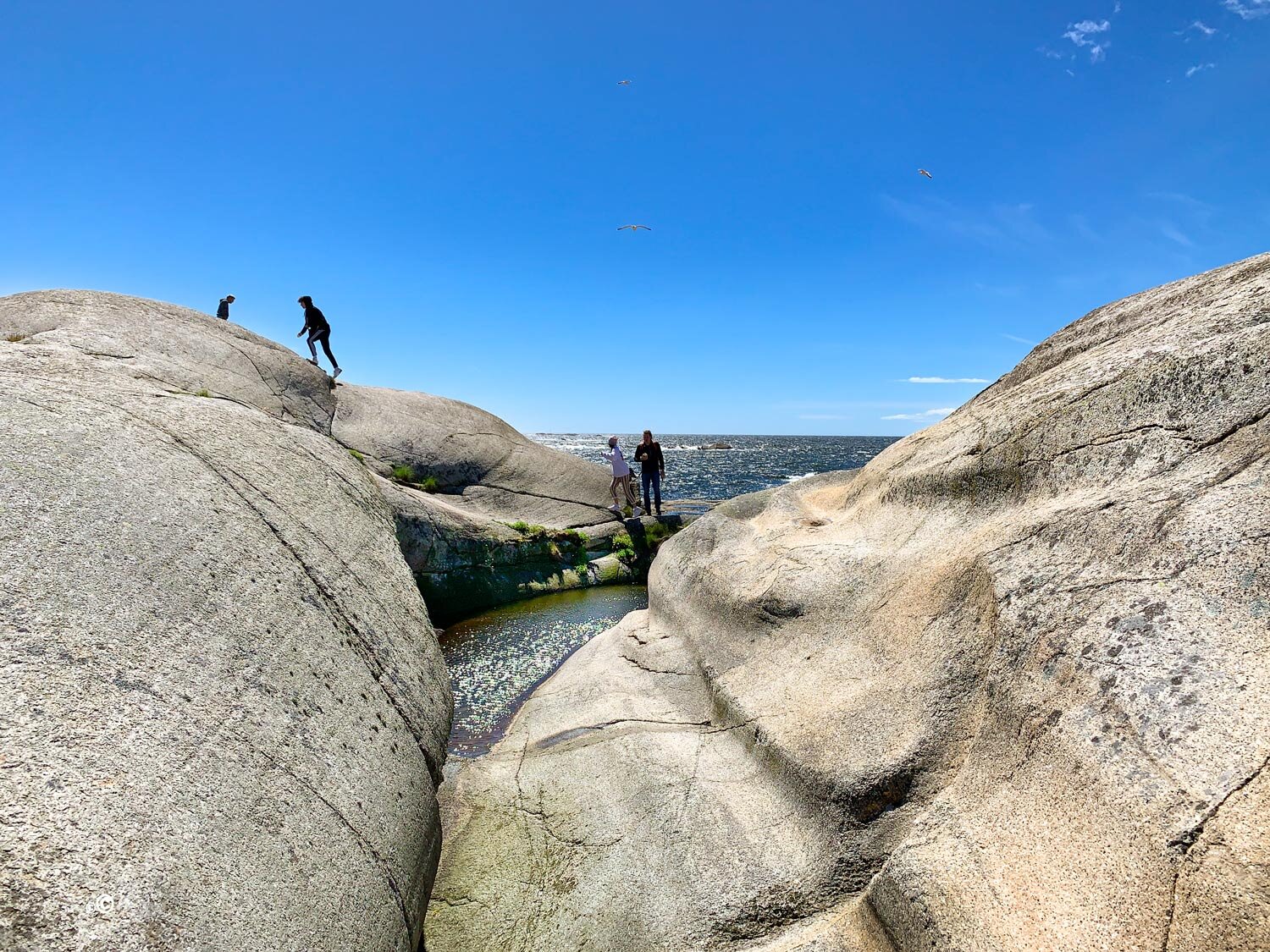 verdens-ende-web-IMG_0682.jpg