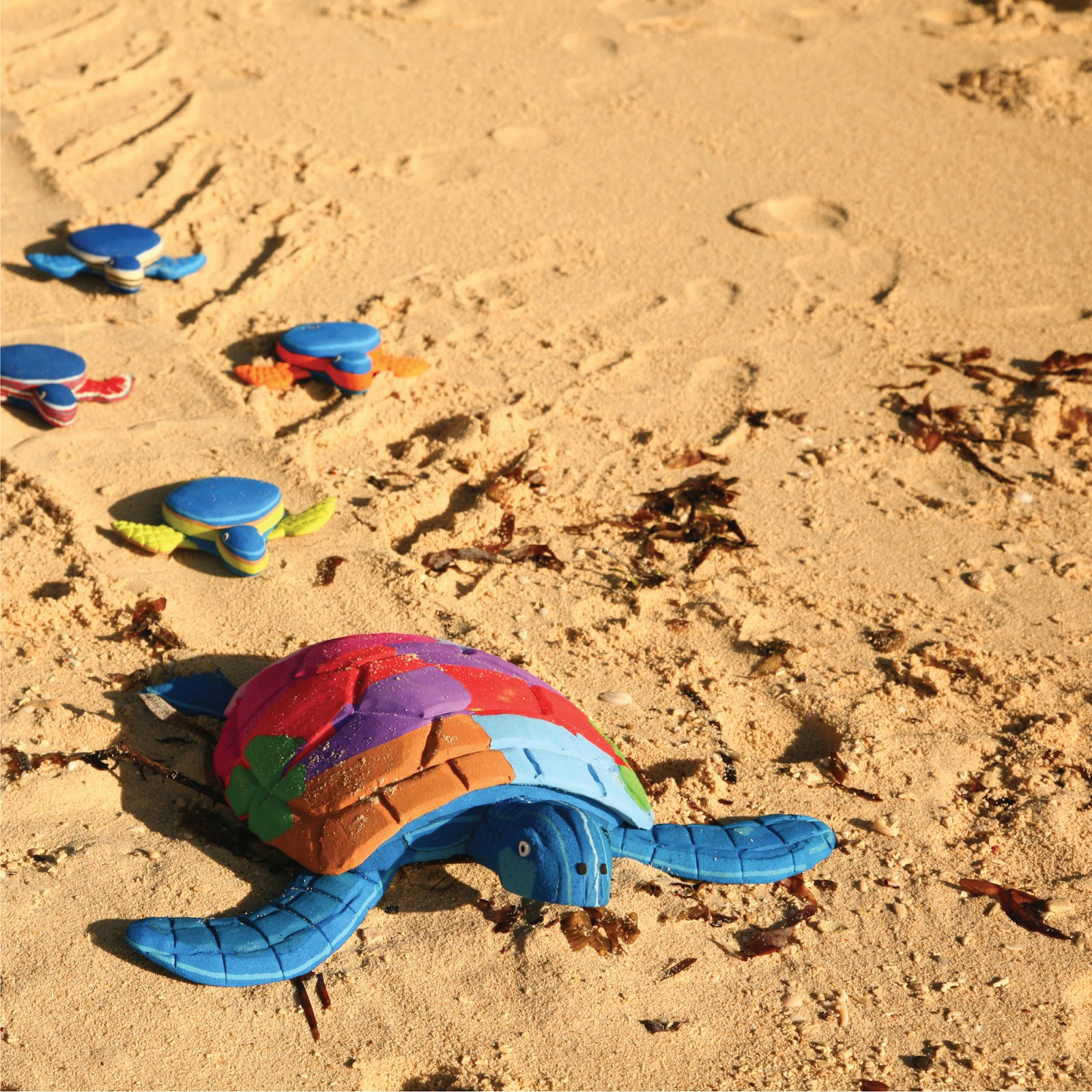 Every single Ocean Sole product that is handcrafted is produced to protect the oceans and to teach the world about the threats that come along with marine debris. Discover and shop for Ocean Sole's beautiful artwork on SEE Turtle's online store. 