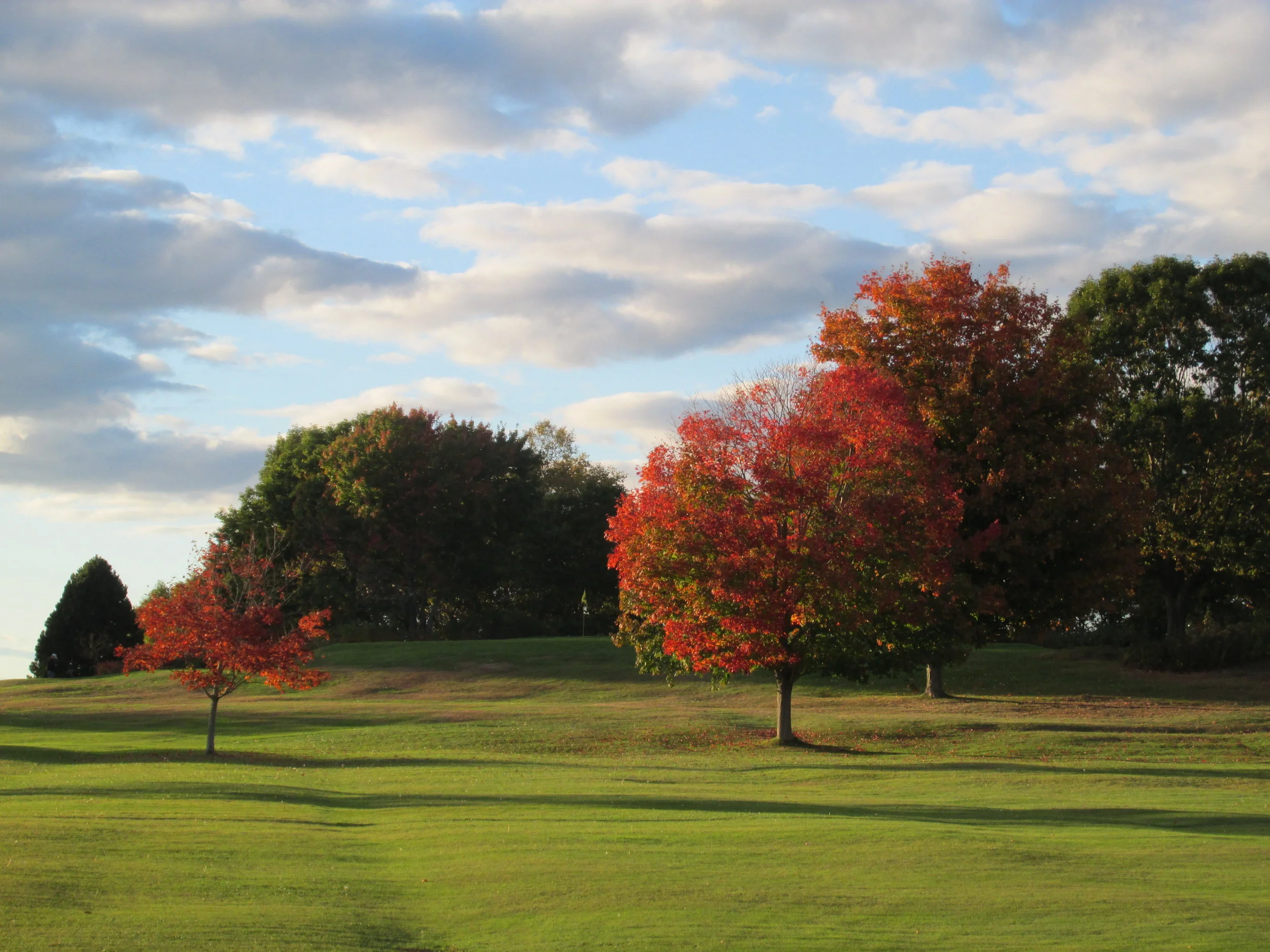 Junior Lessons Start