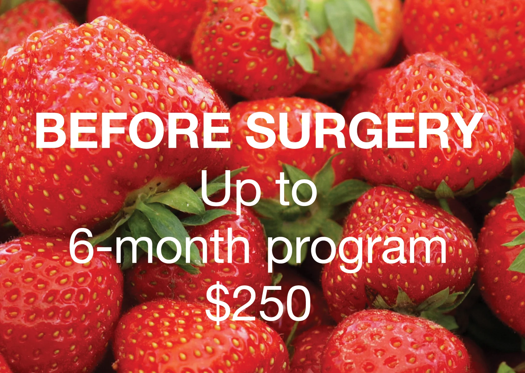 Strawberry-Up-to-6-Months-with-cost-FINAL.jpg