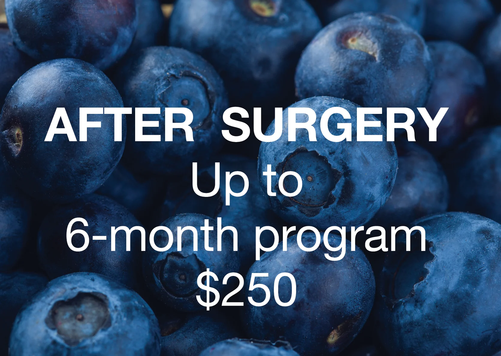 Blueberry-Up-to-6-Months-with-cost-FINAL.jpg