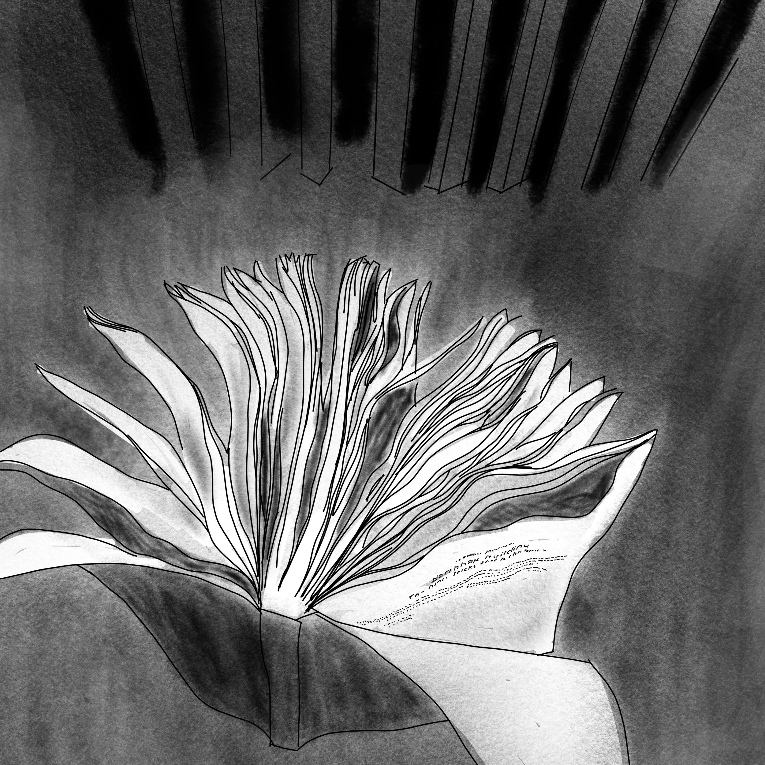 The Physics of Least Resistance 