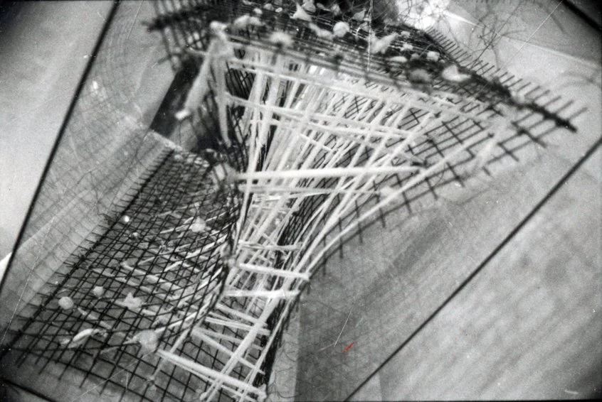 01_CRAGAN_OMEGA_WIRE SCULPTURE.jpg