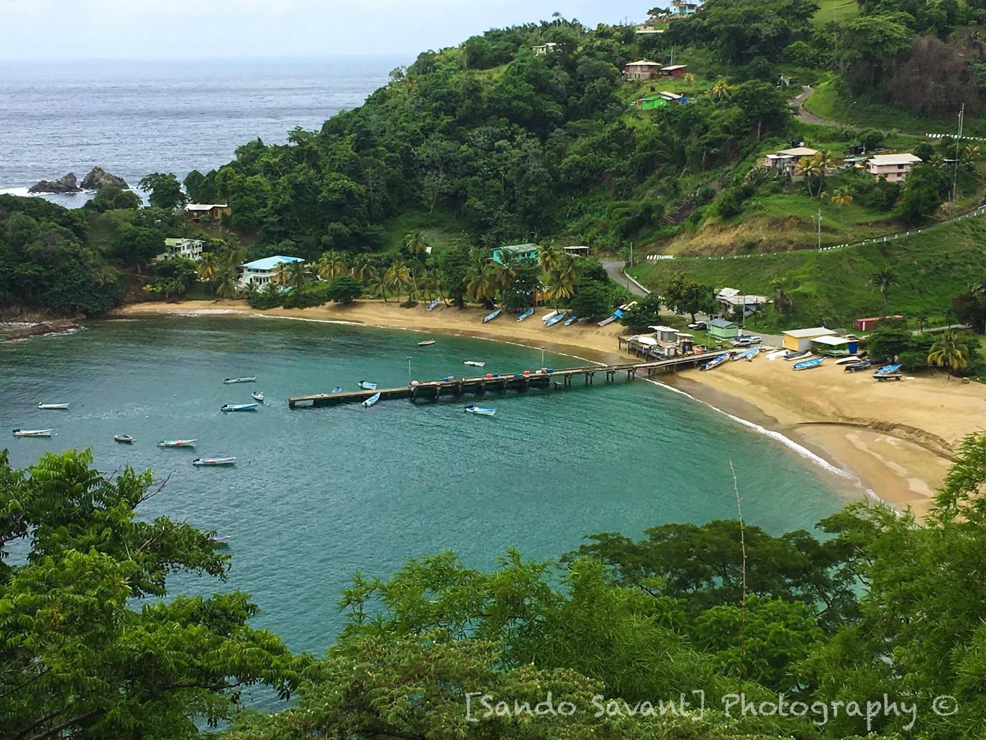 Charlotteville Overlook