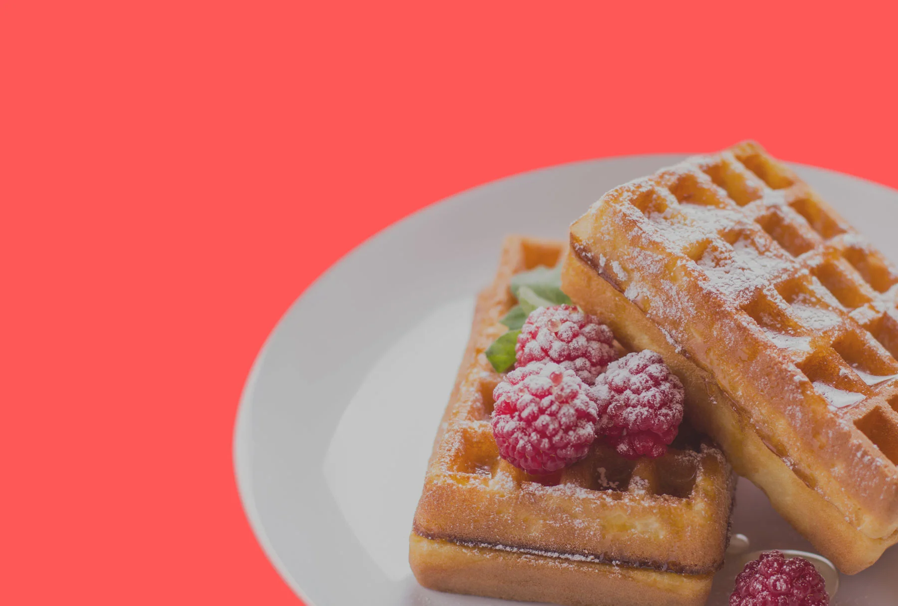CORAL-BACKGROUND-WAFFLE.jpg