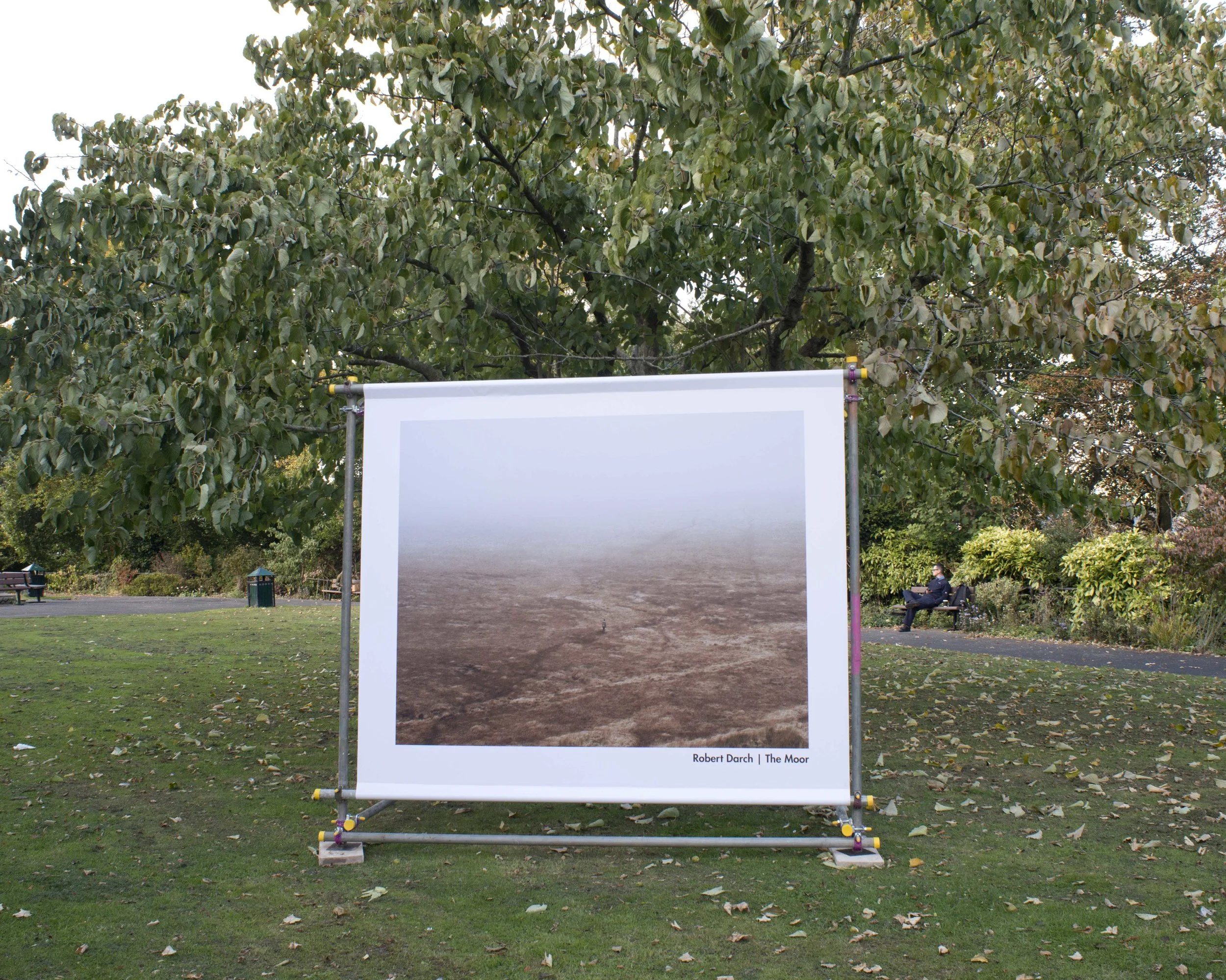 DSC_9007_comp.jpg