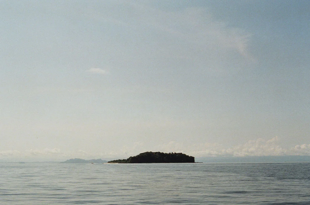 flore_02.jpg