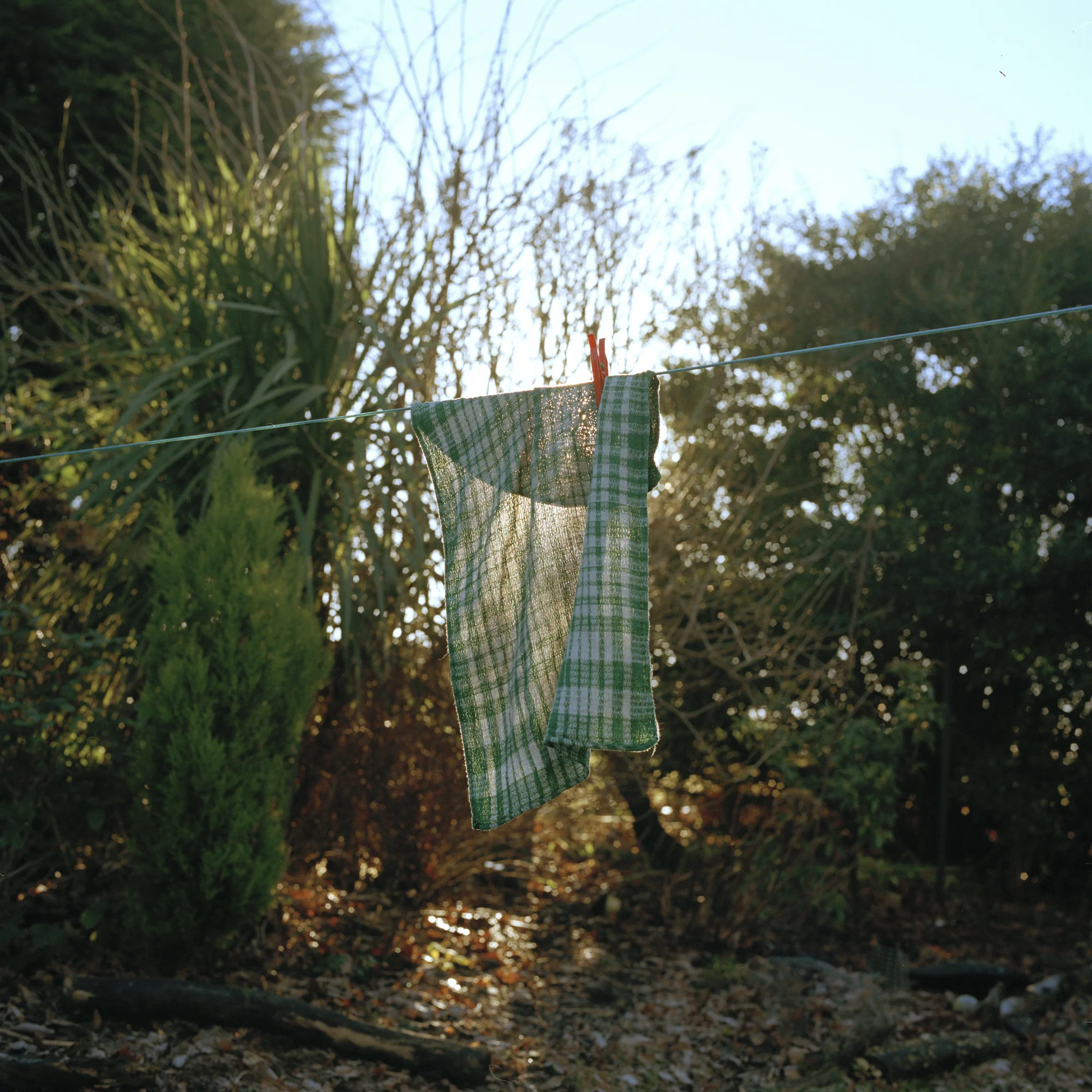 thomas_duffied11_unveild.jpg