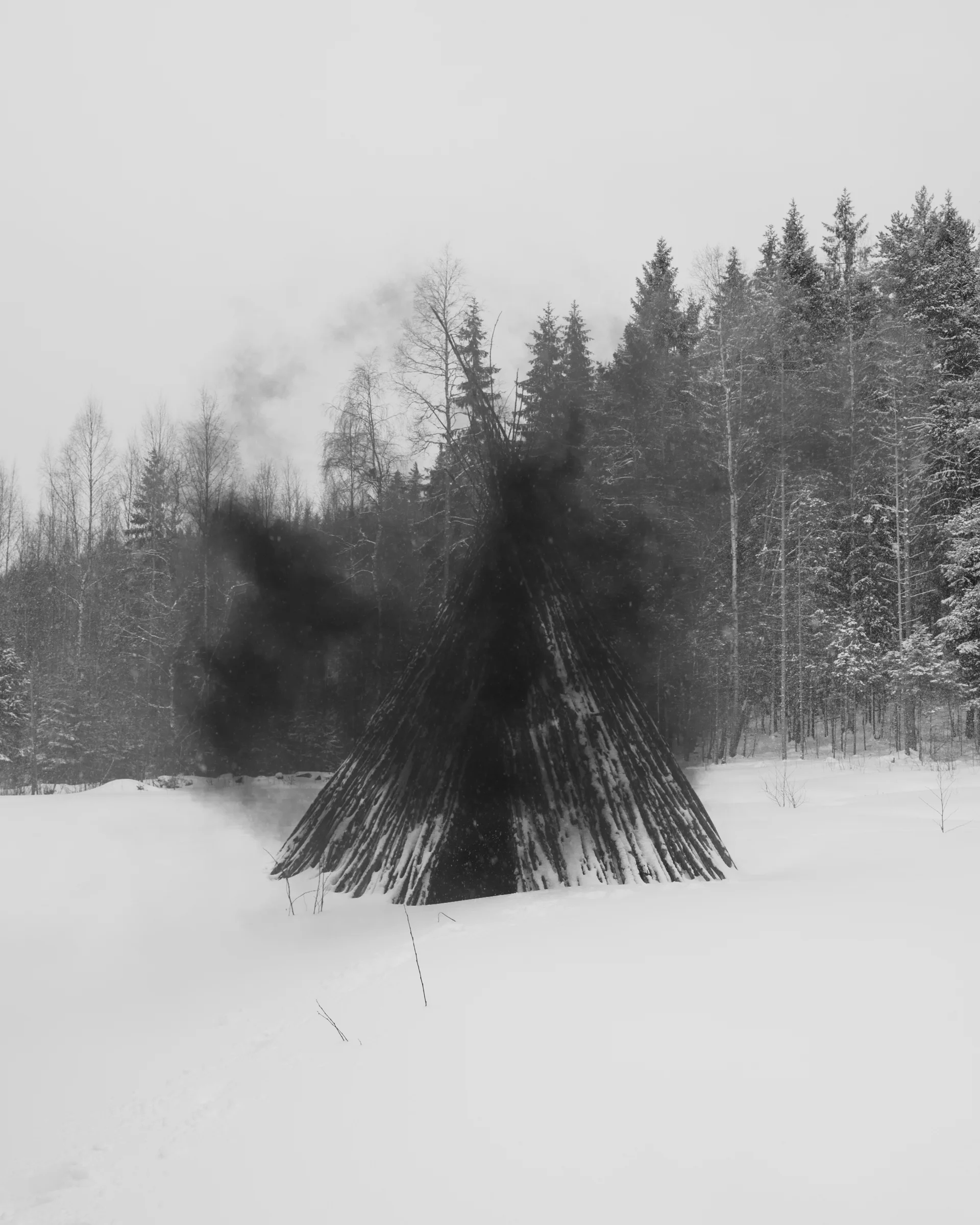 004-Slash-Burn_Abusdal.jpg