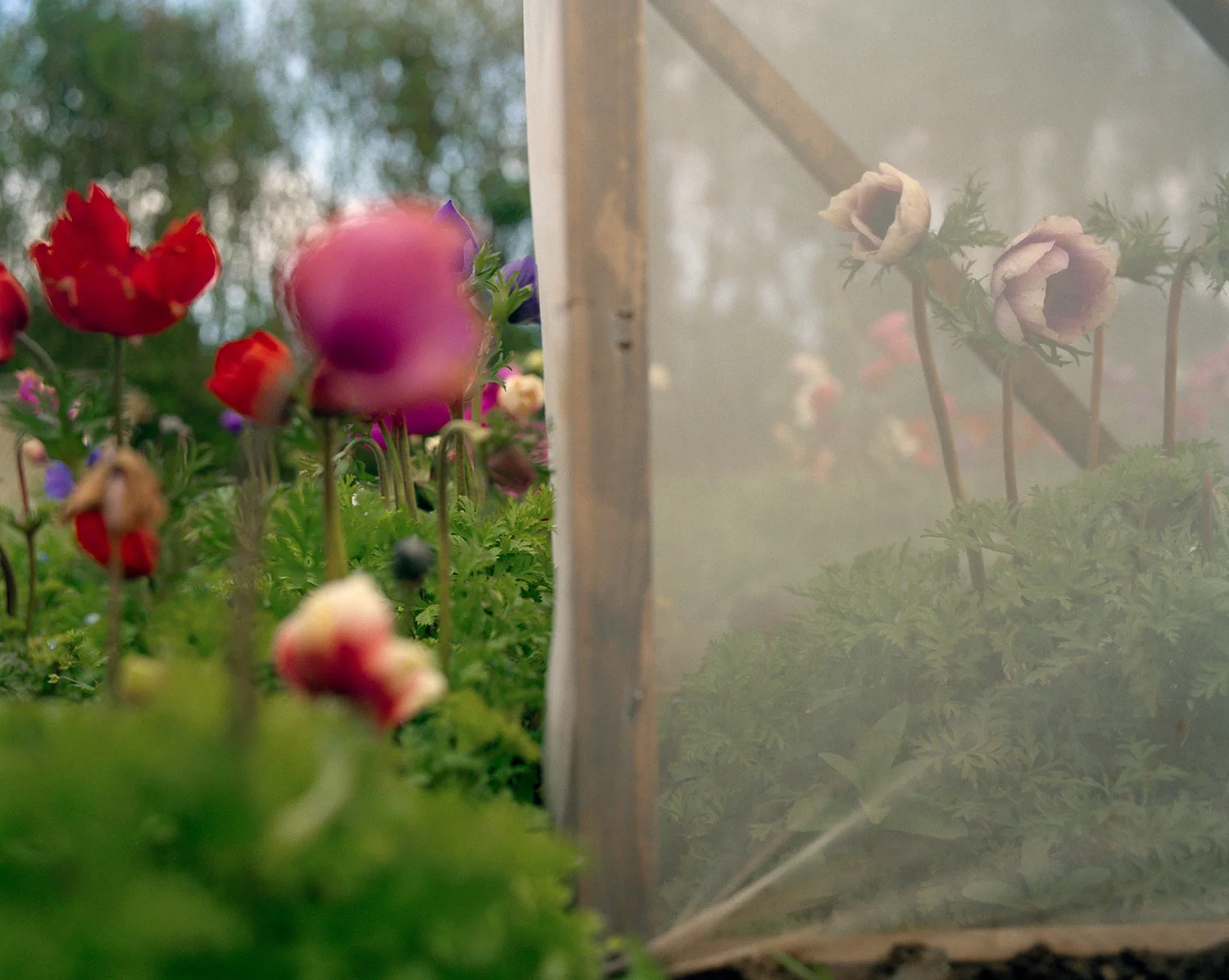 Jem Southam Interview: The Pastoral Moth – AMERICAN SUBURB X