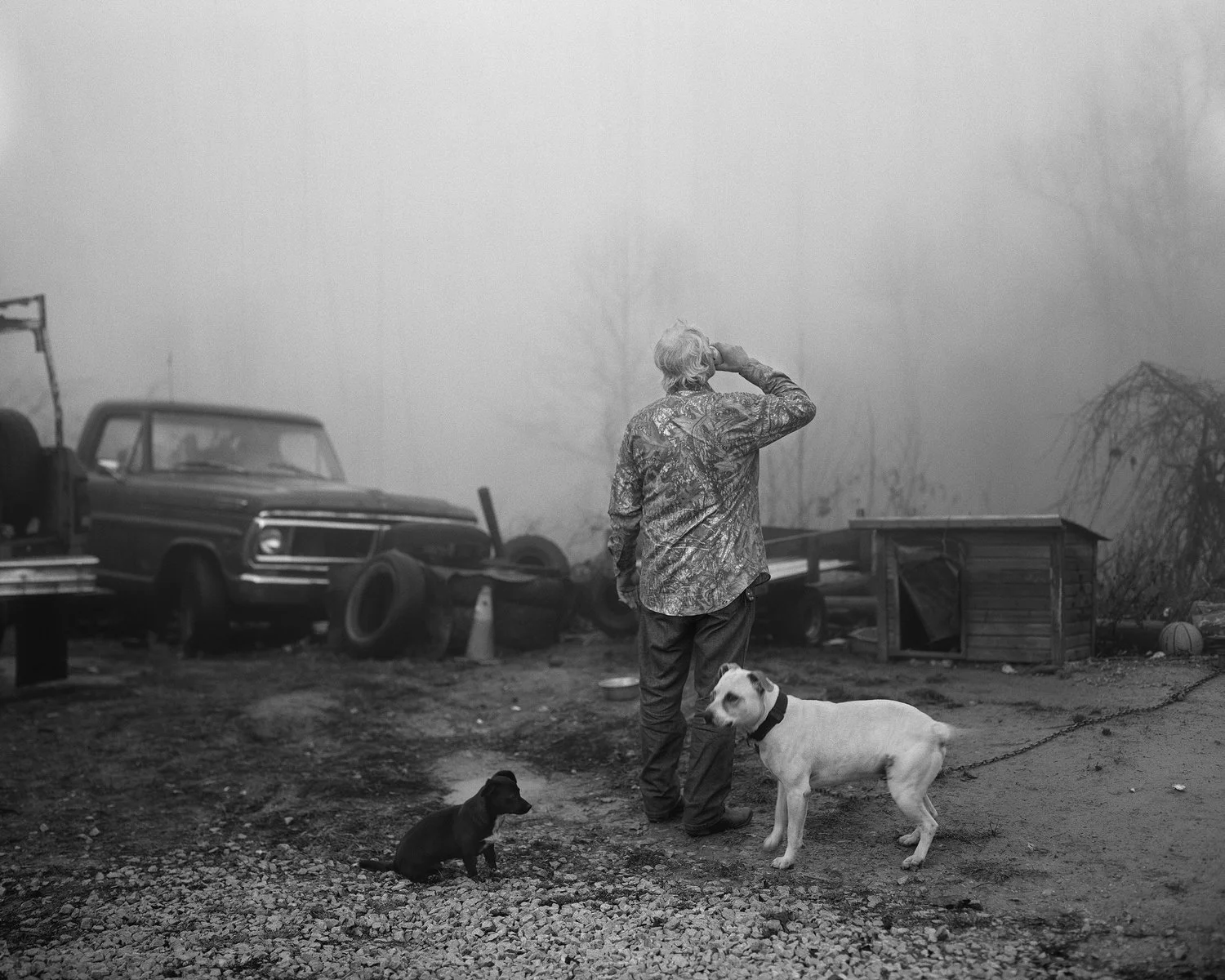 Matthew Genitempo · Jasper