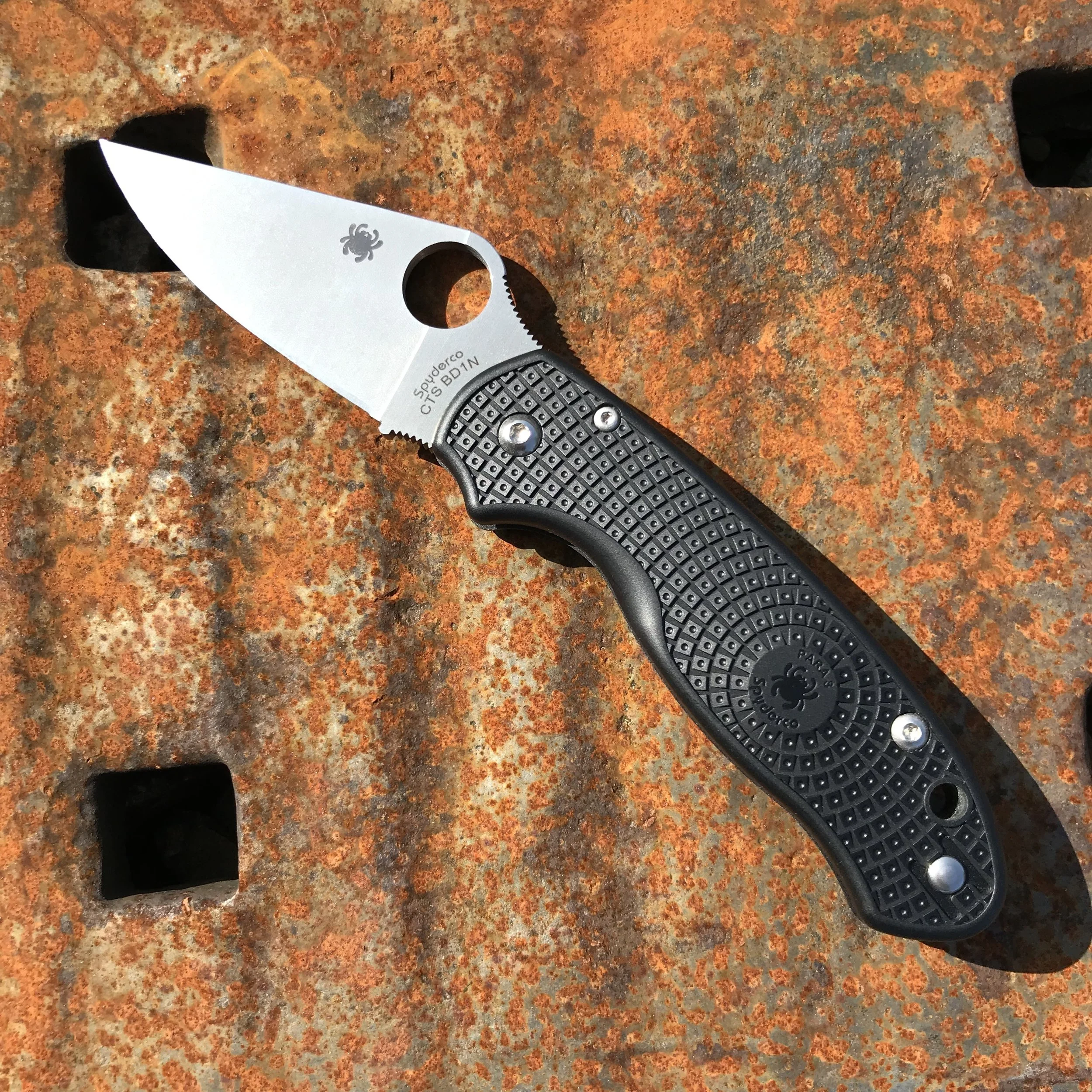 FullSizeRender.jpg