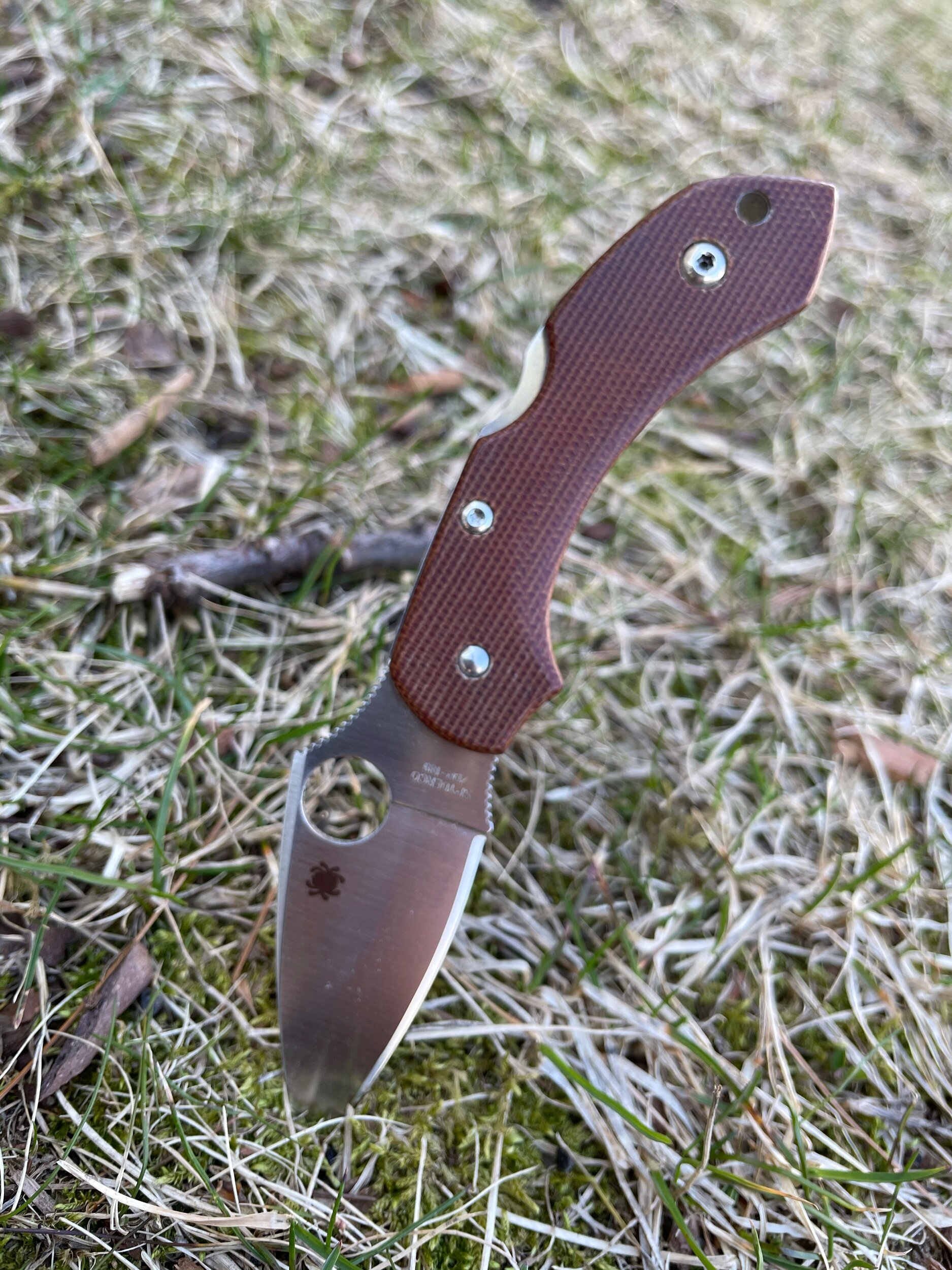 Spyderco Cook's Knife Review — Everyday Commentary