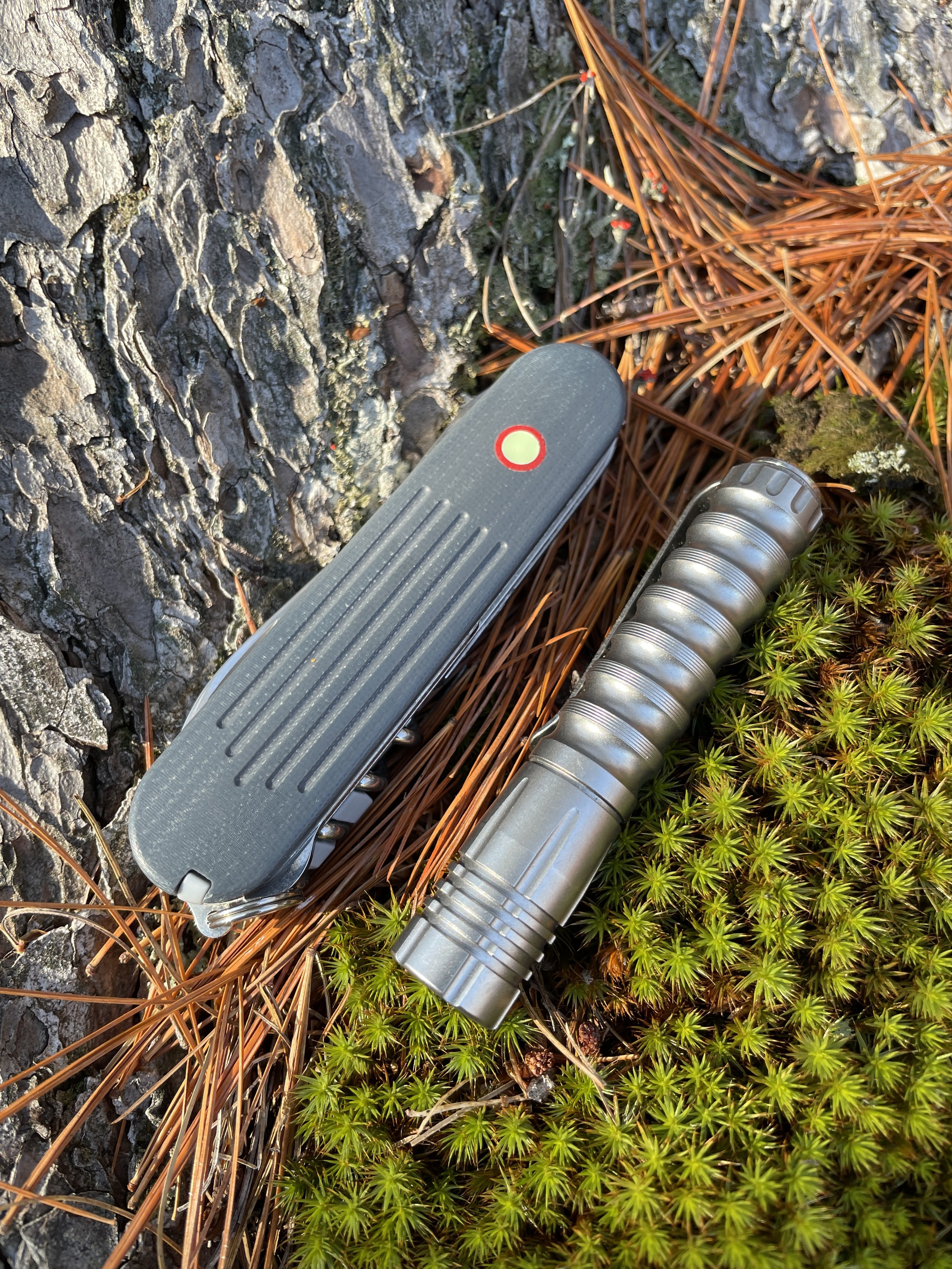 GREATEST EDC SAK? - Victorinox Compact Review 