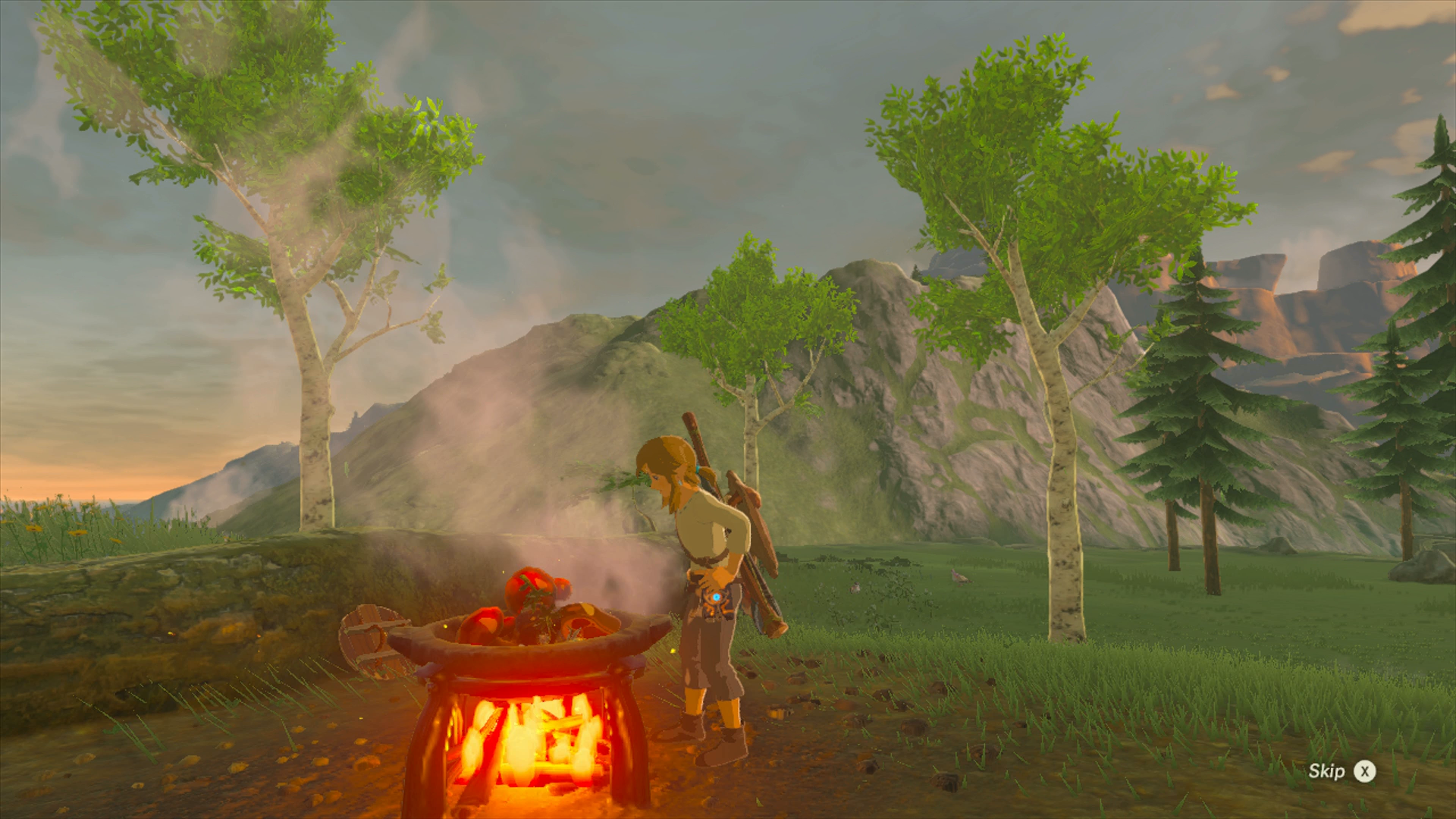 Cooking is essential to Link's survival in the harsh land of Hyrule