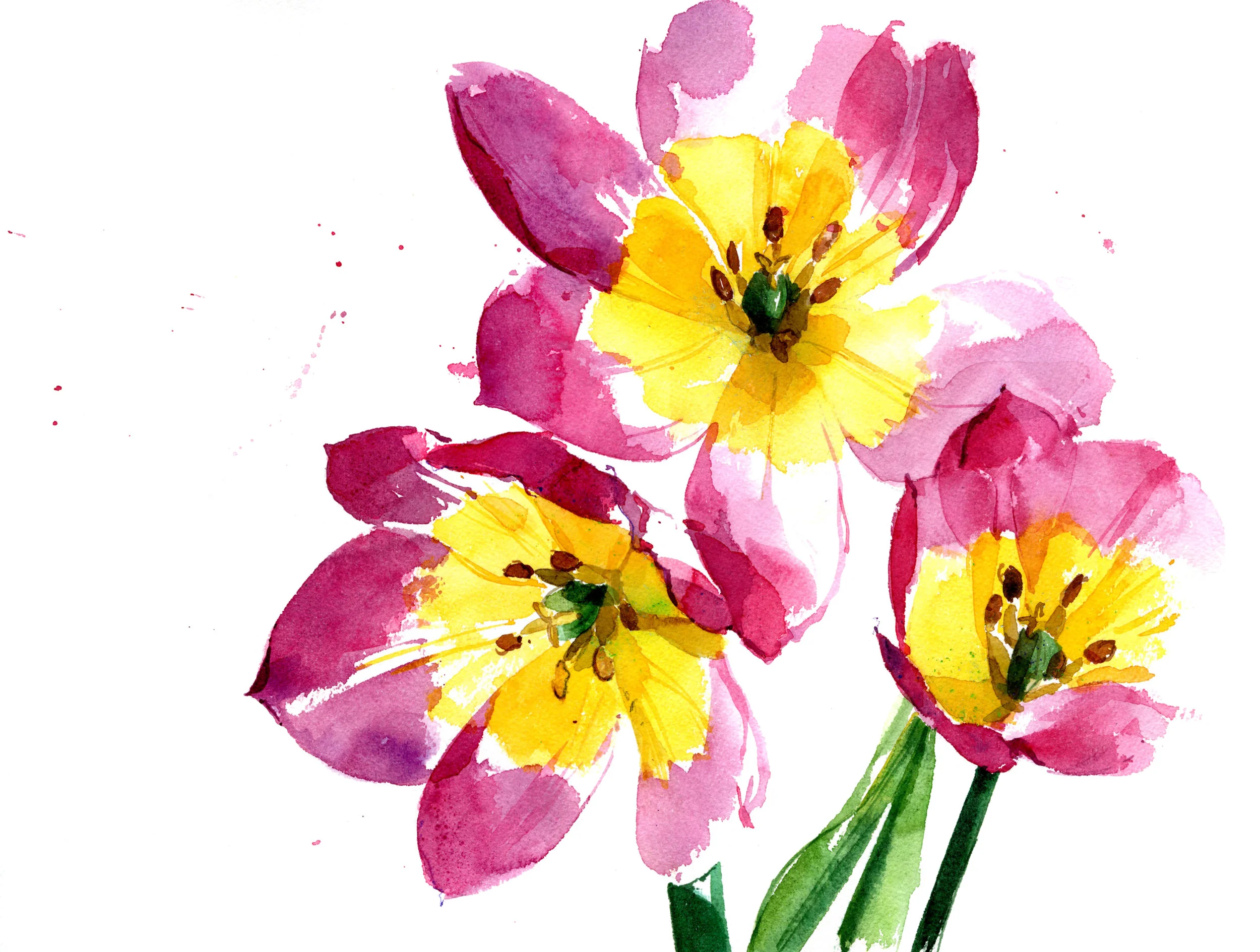 pink and yellow tulips.jpg