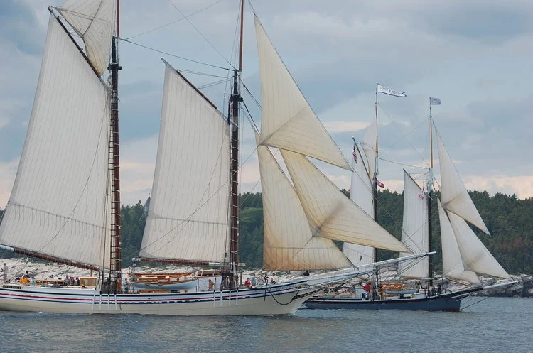 Gathering of the Fleet