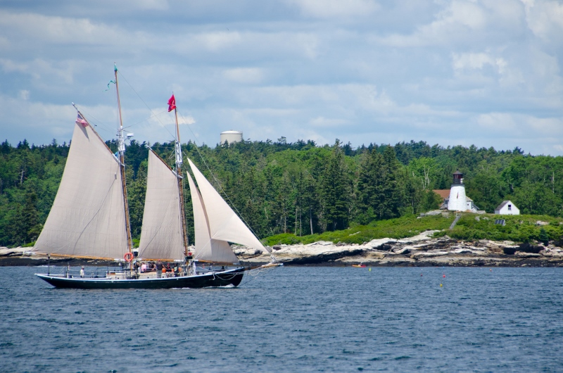 Windjammer2017-46-3 (800x530).jpg