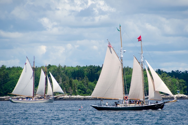 Windjammer2017-47-3 (800x530).jpg