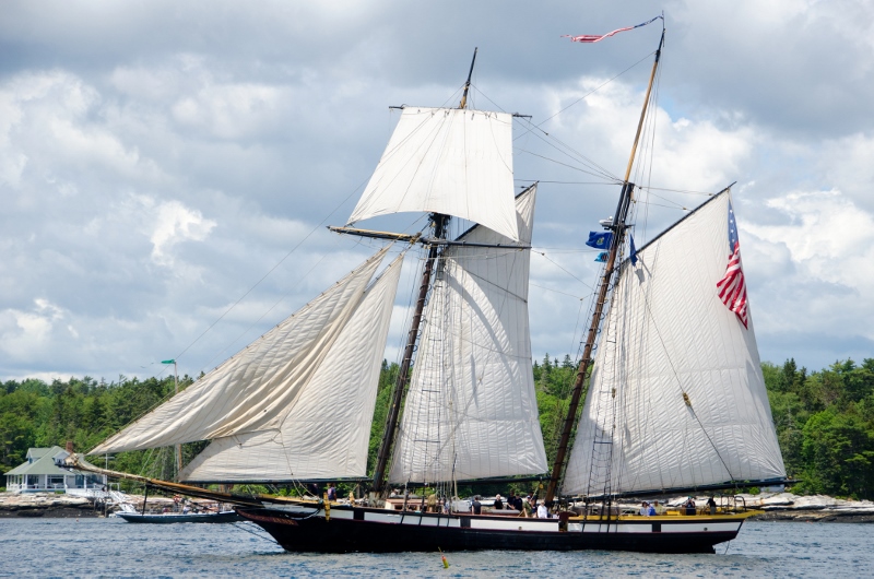 Windjammer2017-66-2 (800x530).jpg