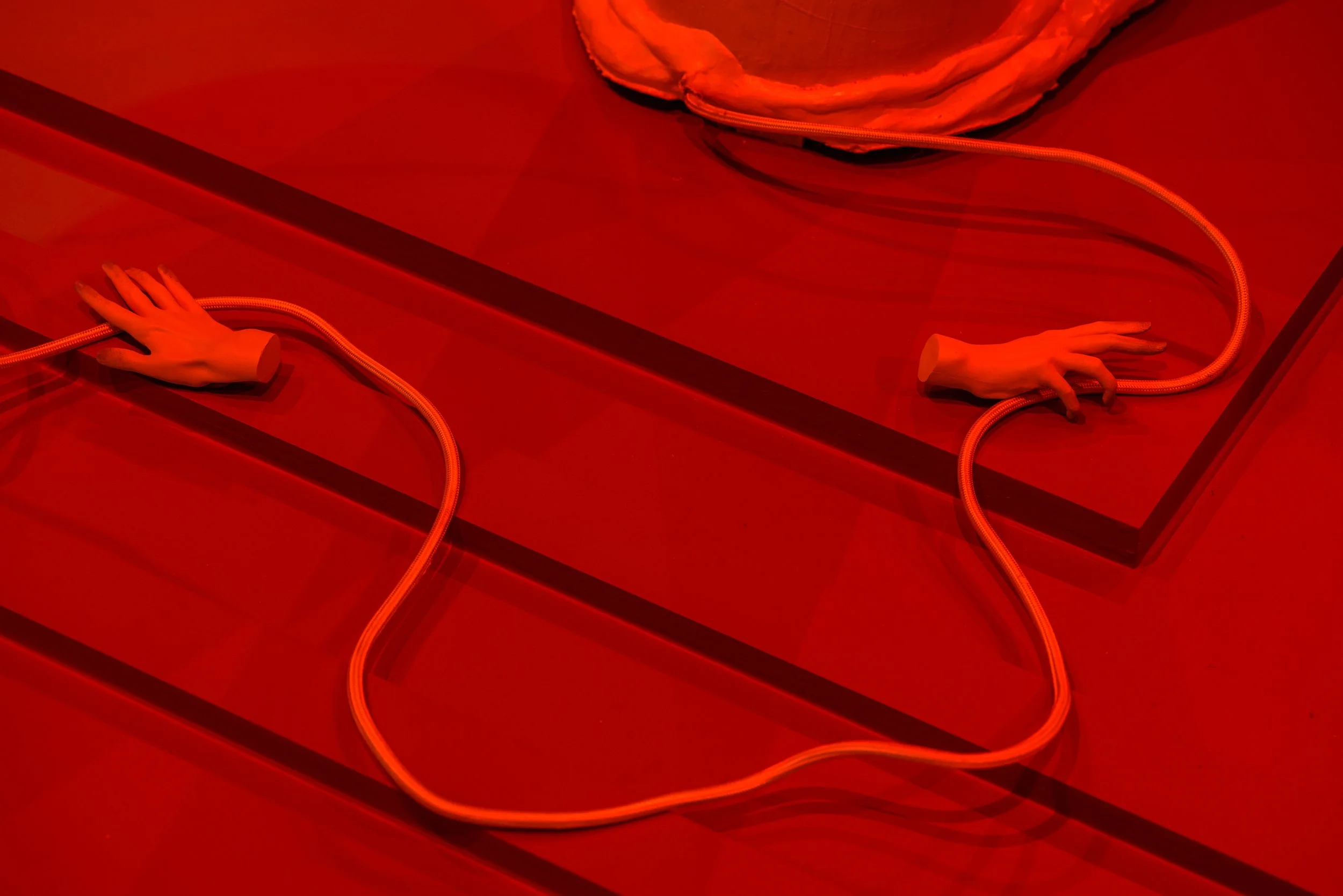 TS2023_My Bodily Remains @ CAC Cincinatti_37.jpg