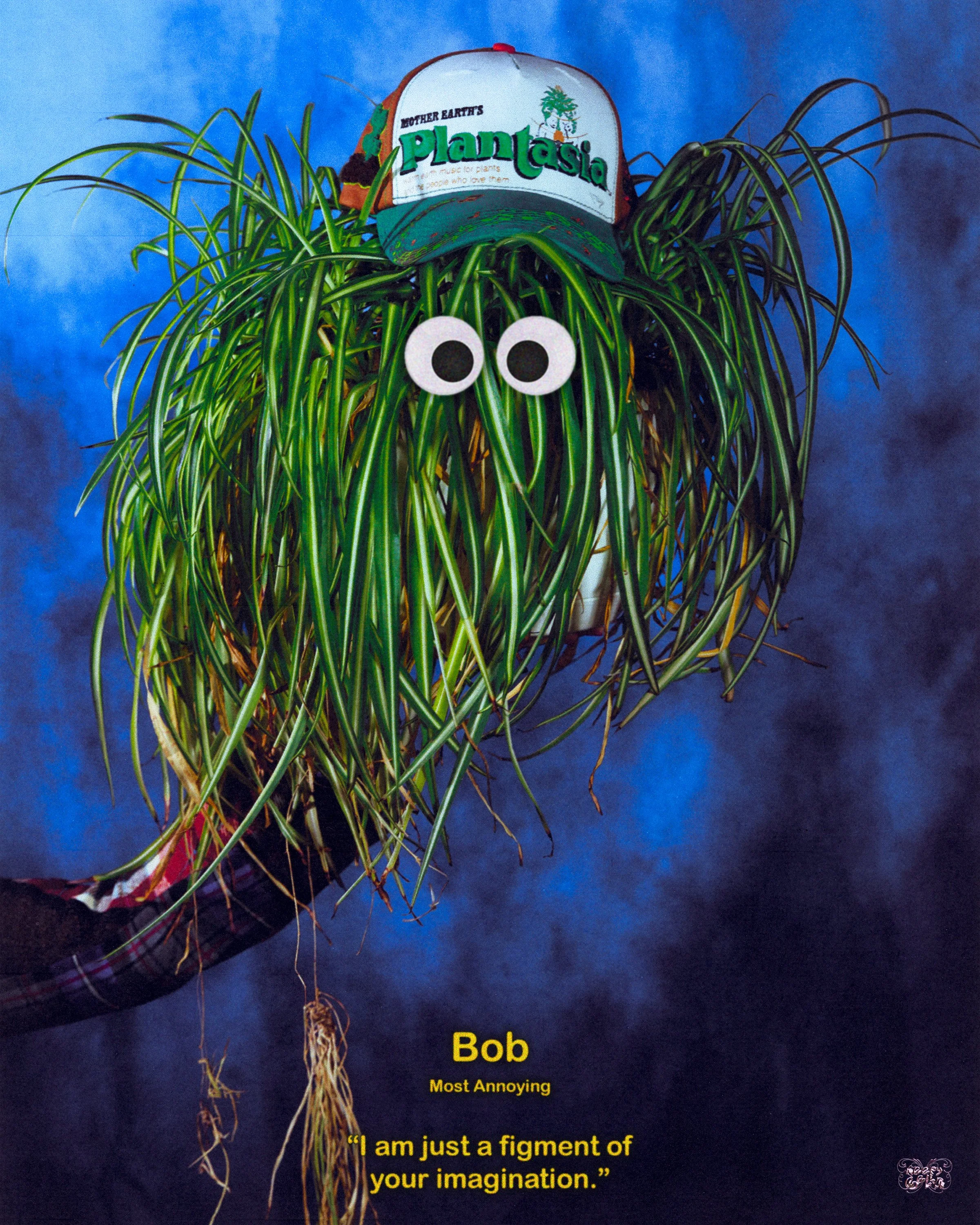 Bob copy.jpg