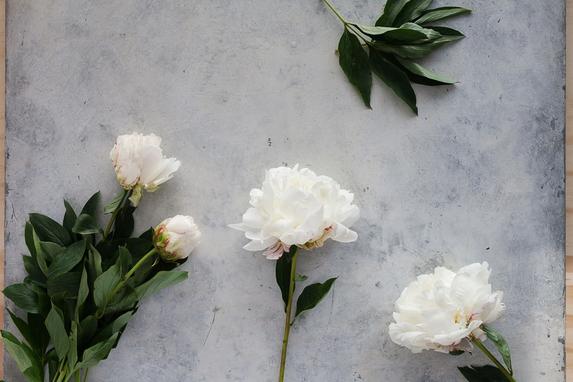 Florist0036.jpg