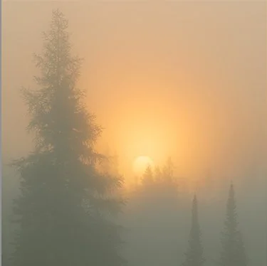 Russ Hartung: Adirondack Solitude