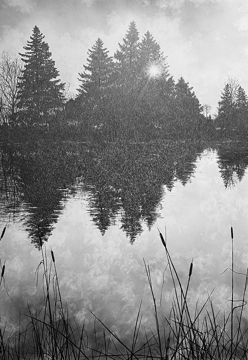 Web_Veteran’s Lagoon, 2026_ Graphite on archival paper_ 42” H X 30” W.png