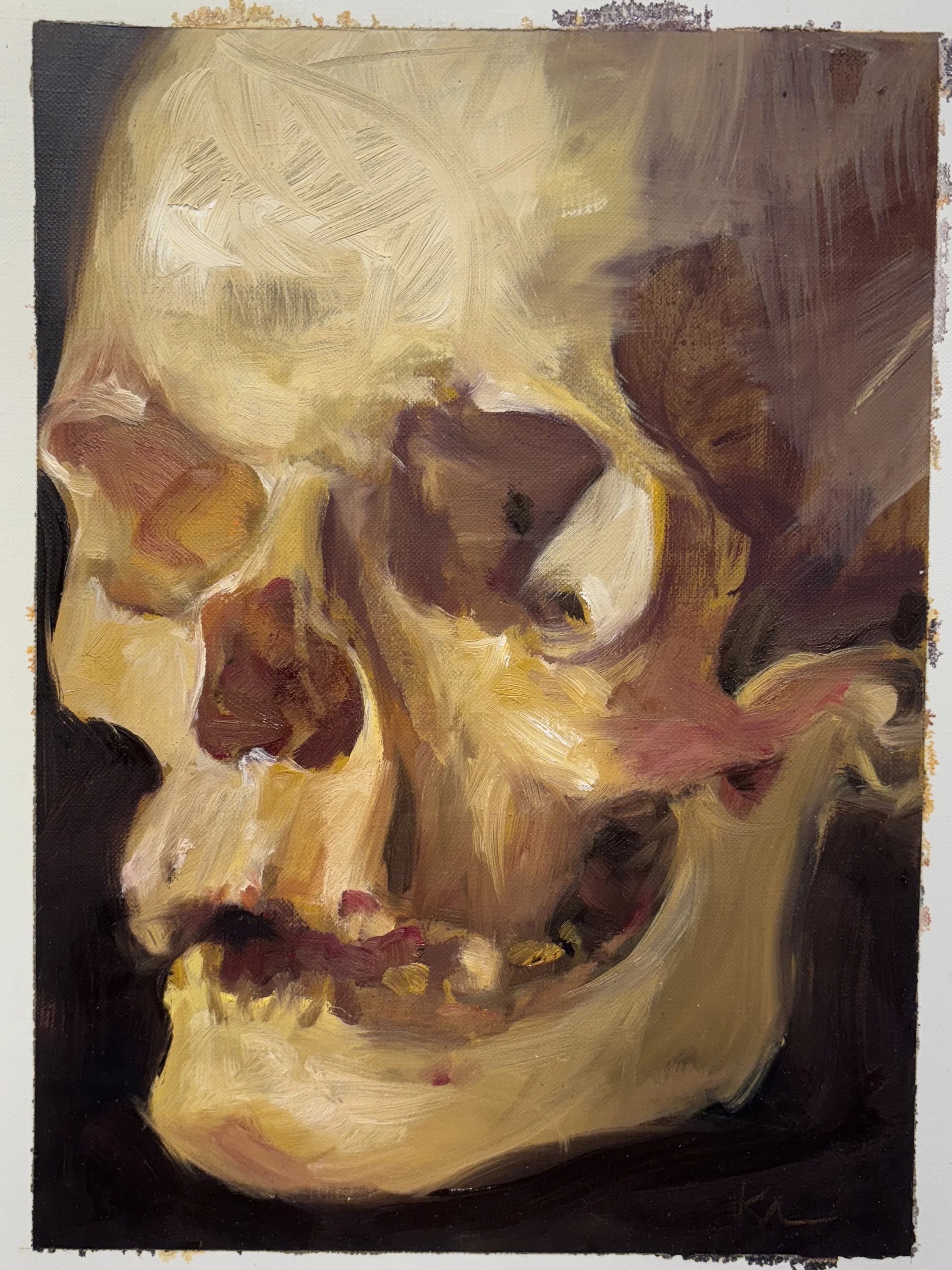 Skull.jpg